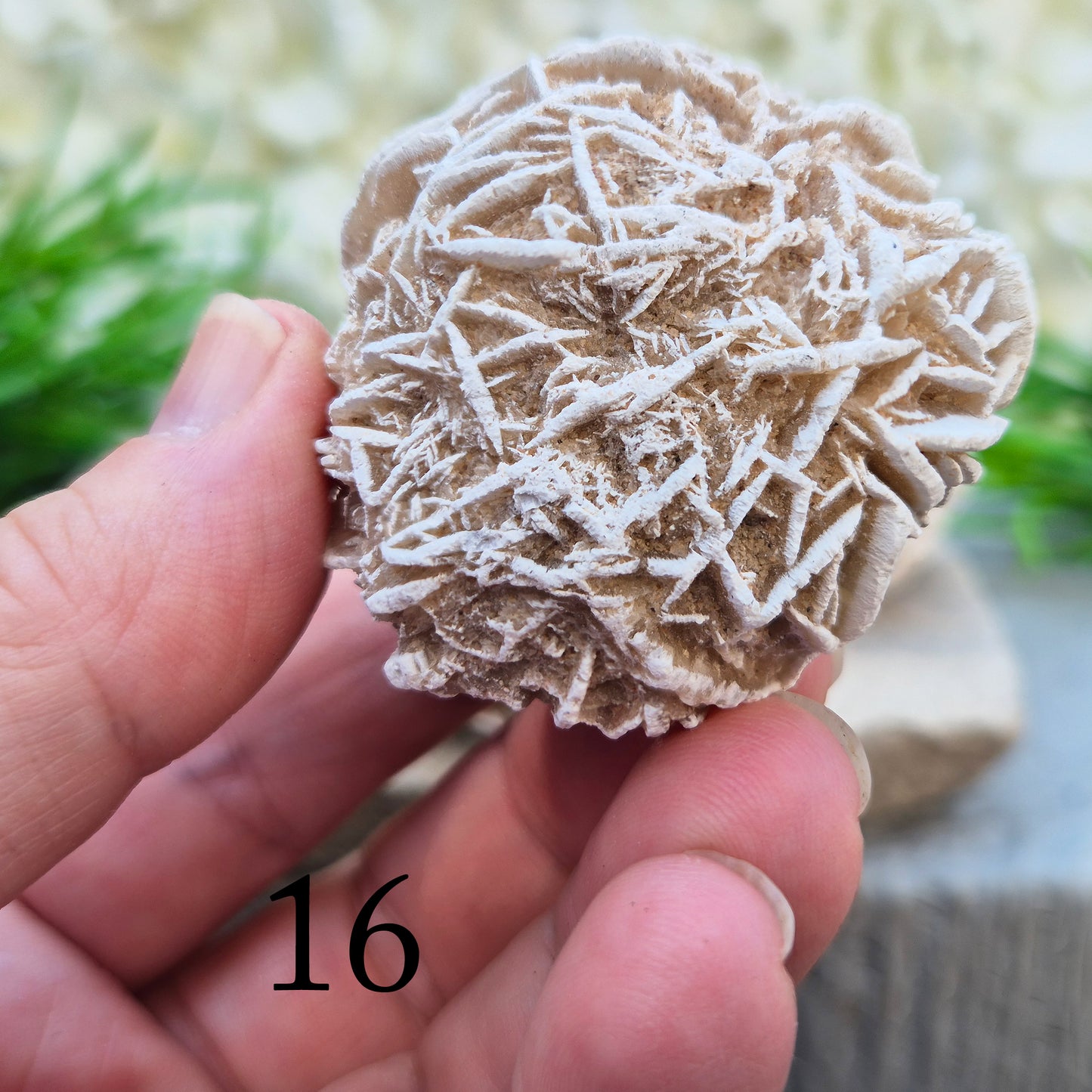 Desert Rose Crystal, Selenite Rose Clusters