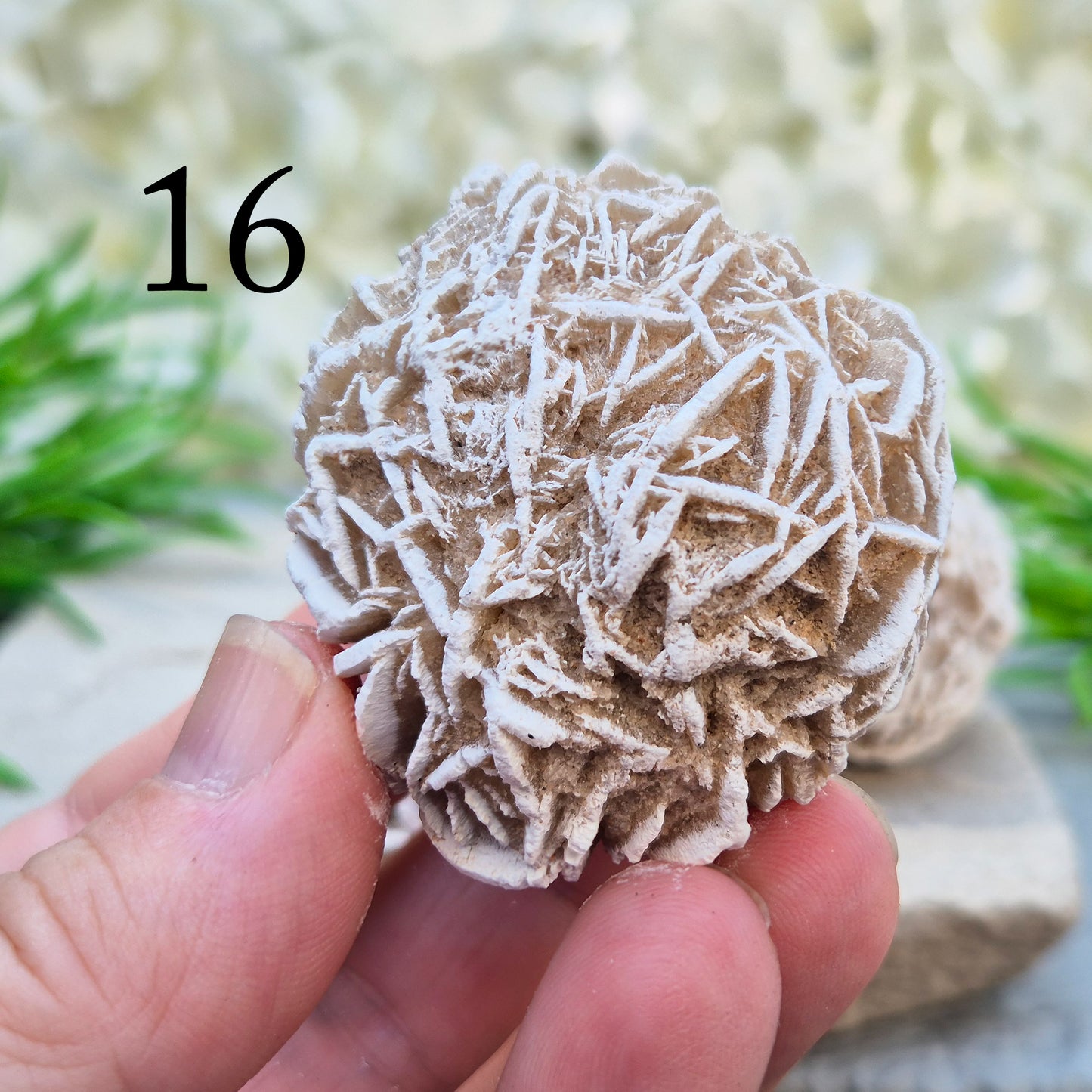 Desert Rose Crystal, Selenite Rose Clusters