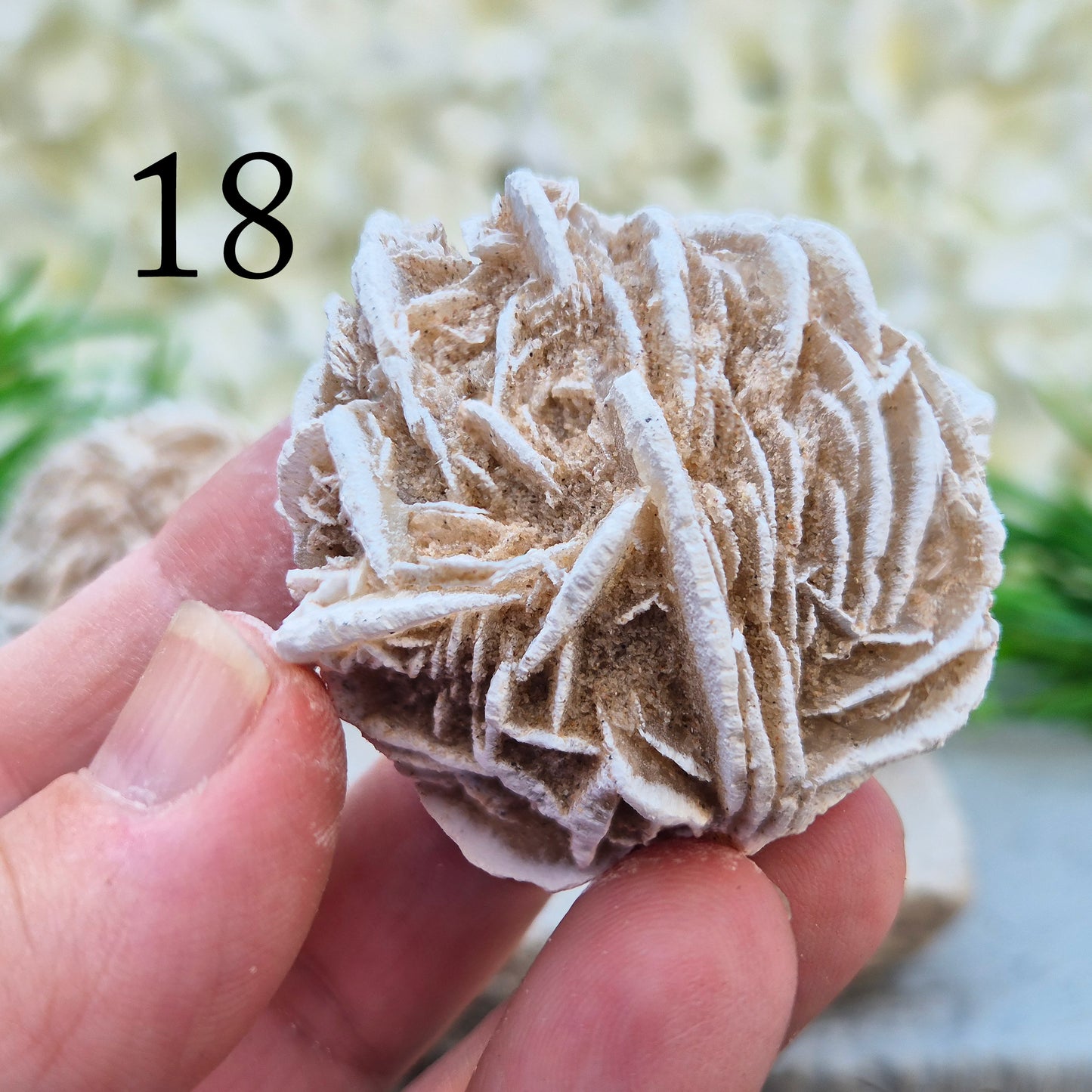 Desert Rose Crystal, Selenite Rose Clusters