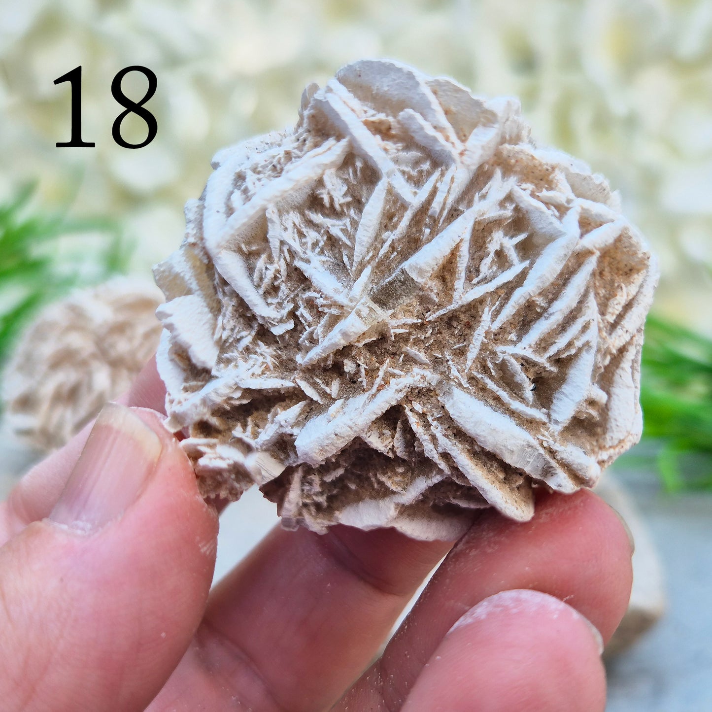 Desert Rose Crystal, Selenite Rose Clusters