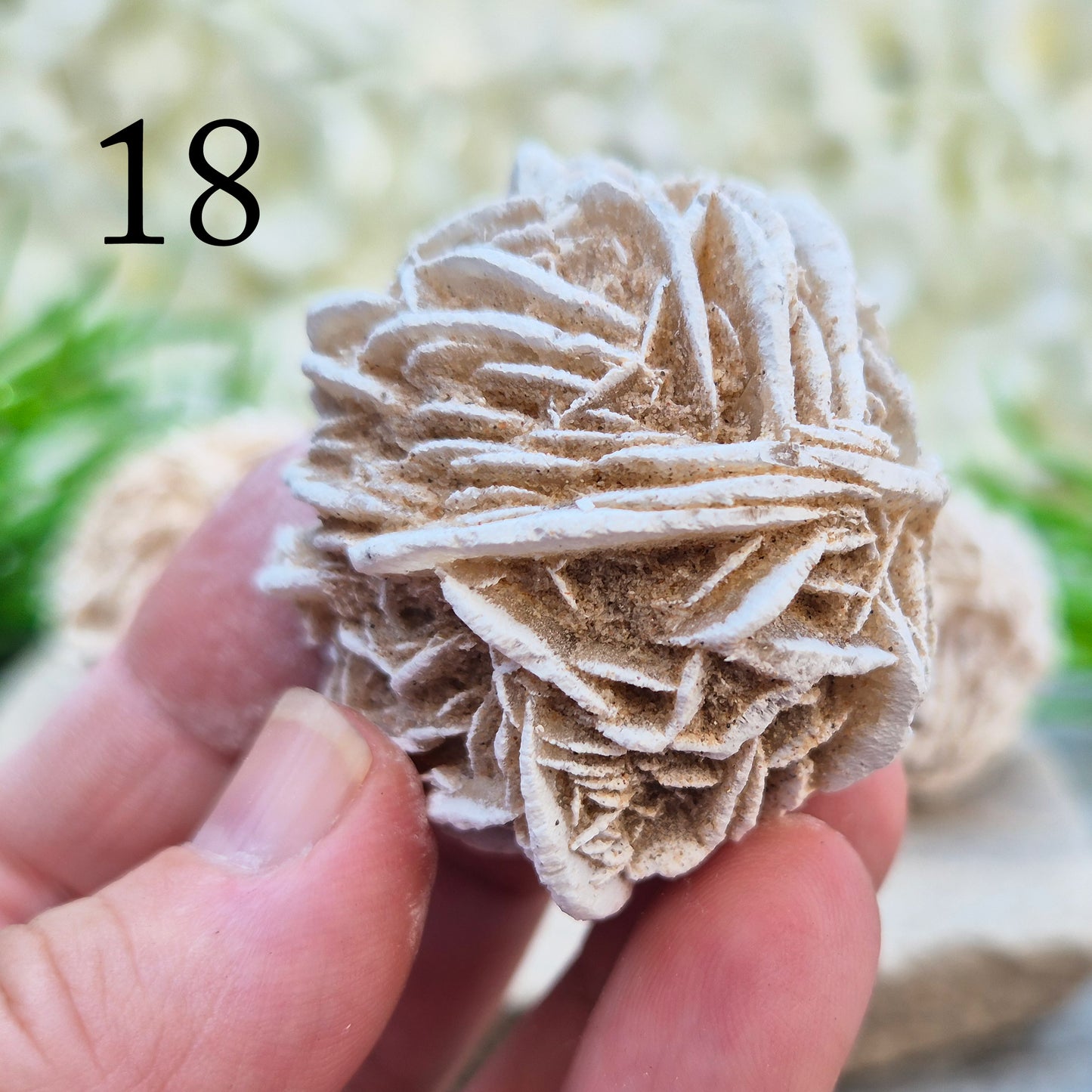 Desert Rose Crystal, Selenite Rose Clusters