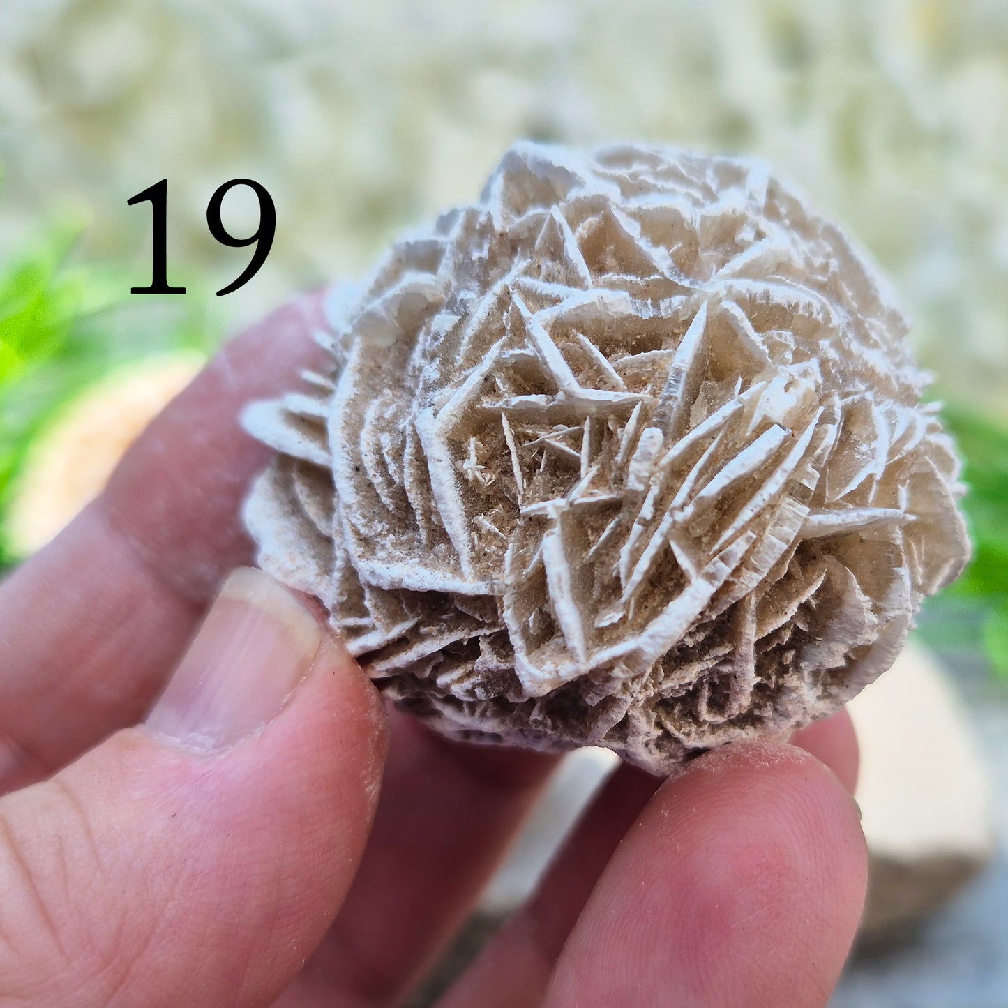 Desert Rose Crystal, Selenite Rose Clusters