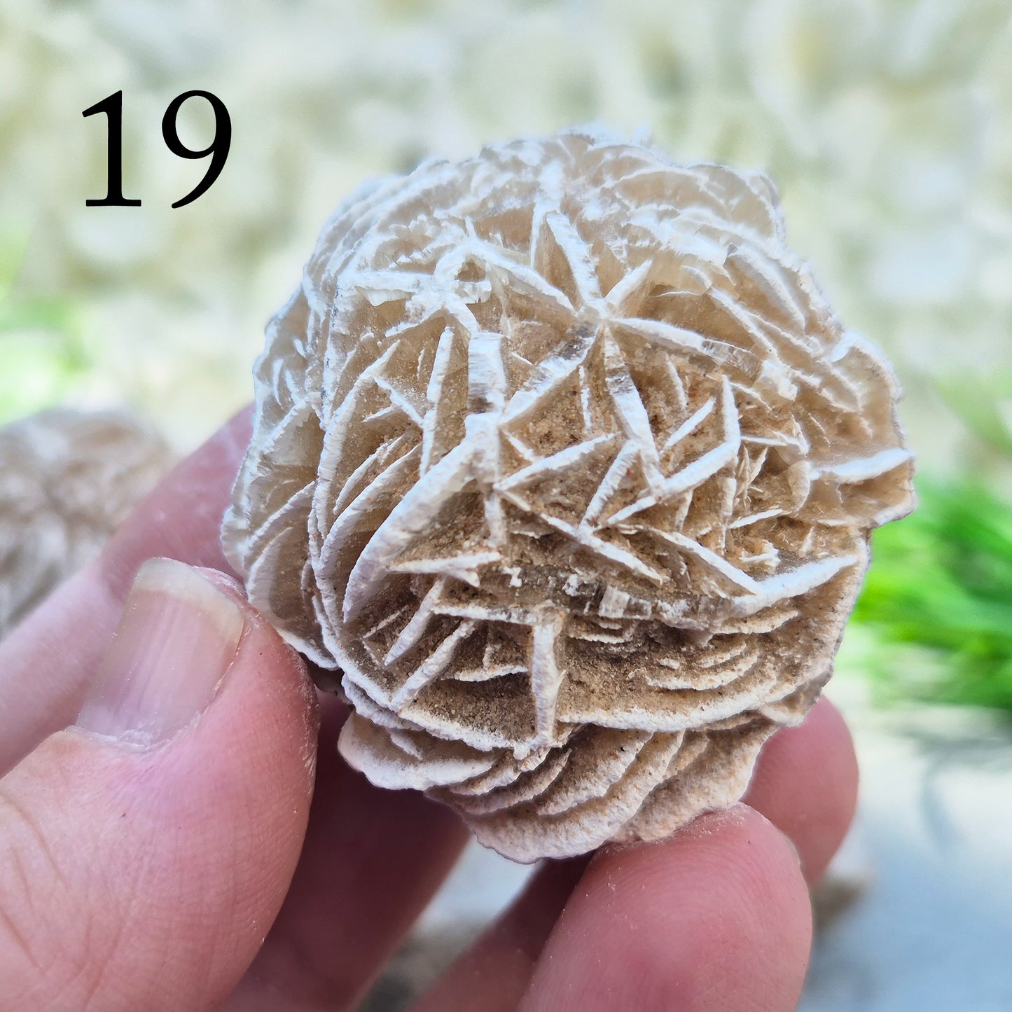 Desert Rose Crystal, Selenite Rose Clusters