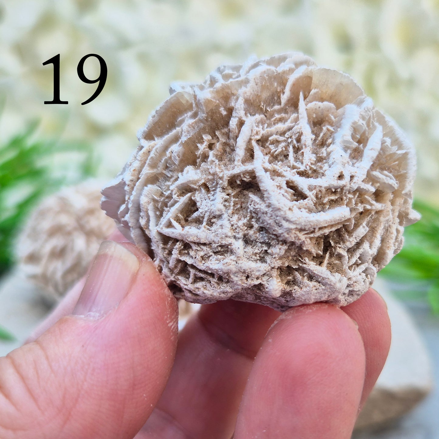 Desert Rose Crystal, Selenite Rose Clusters