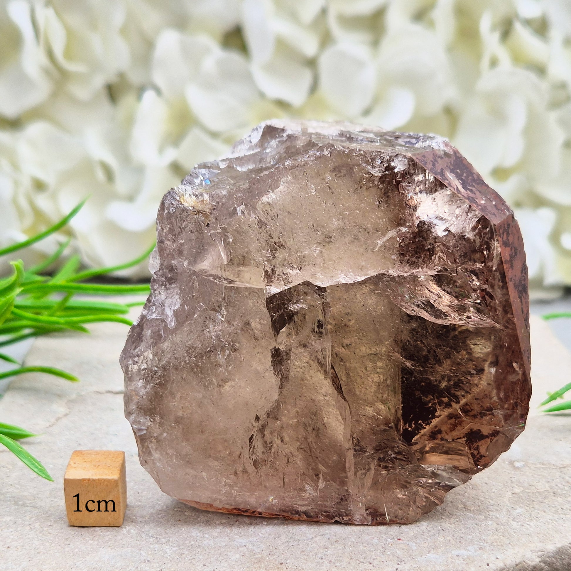 Smoky Quartz freeform from Brazil with polished face and natural sides. A grounding crystal for protection, calm focus, and emotional release.