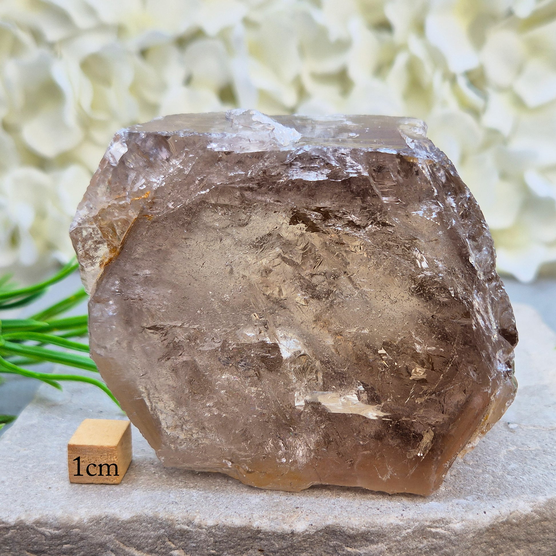 Smoky Quartz freeform from Brazil with polished face and natural sides. A grounding crystal for protection, calm focus, and emotional release.