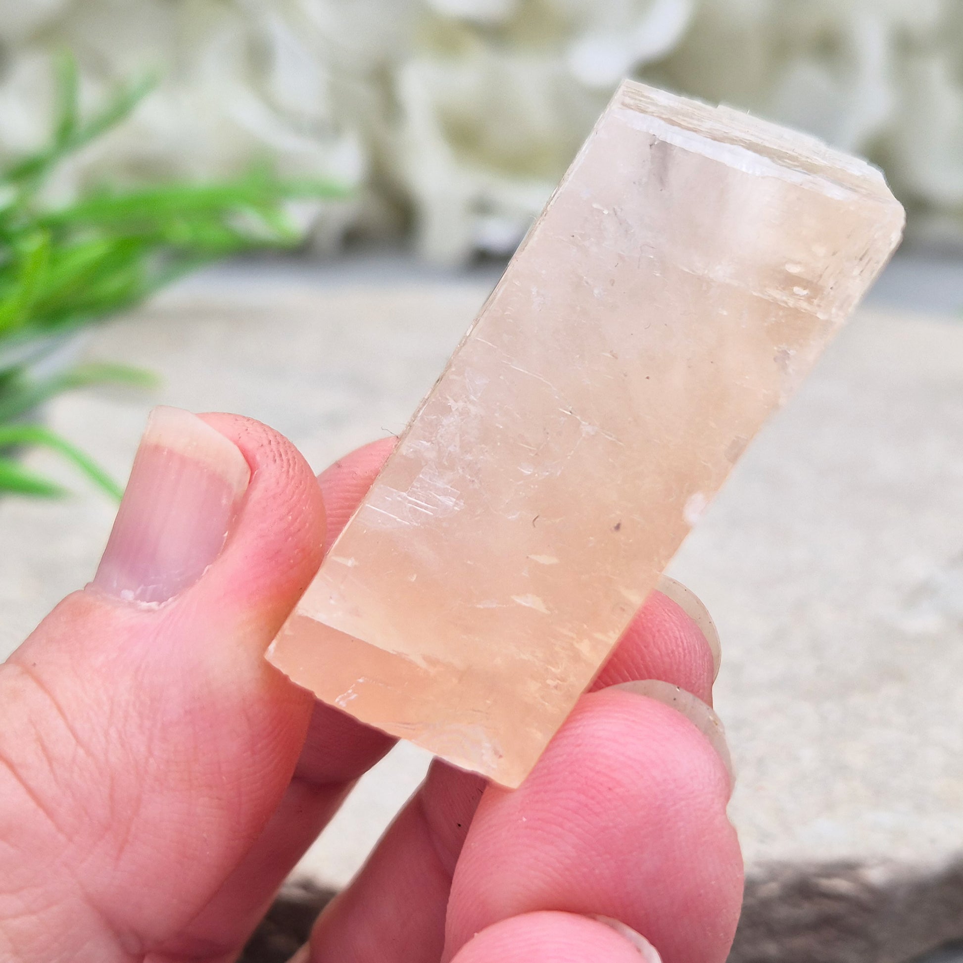 Gentle pale pink watermelon calcite, Mexico — a soothing crystal for emotional healing and heart chakra balance. Soft, nurturing energy for calm and kindness.
