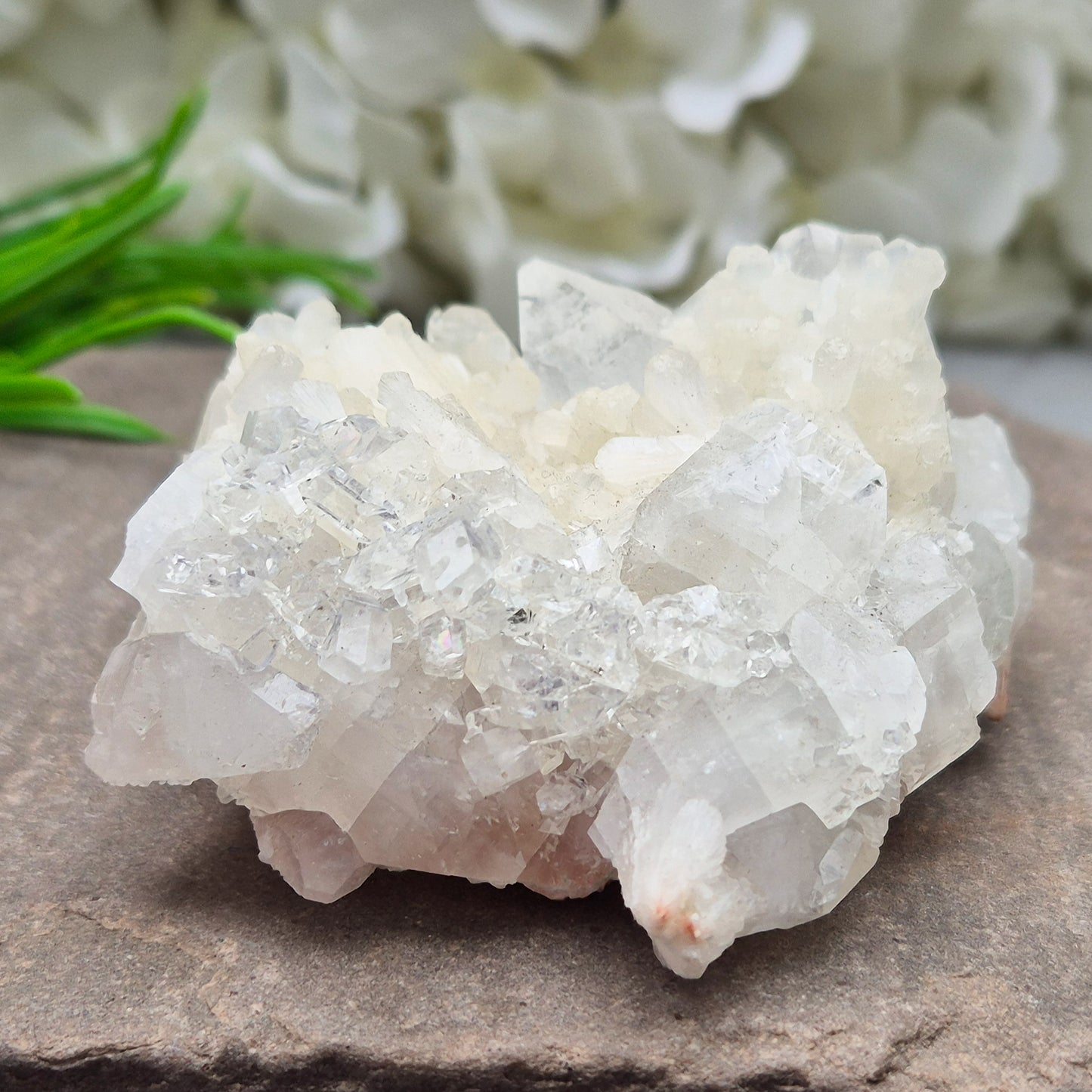 Apophyllite cluster for clarity, calm, and connection. A high-vibration crystal to uplift energy and deepen spiritual awareness in any space. 