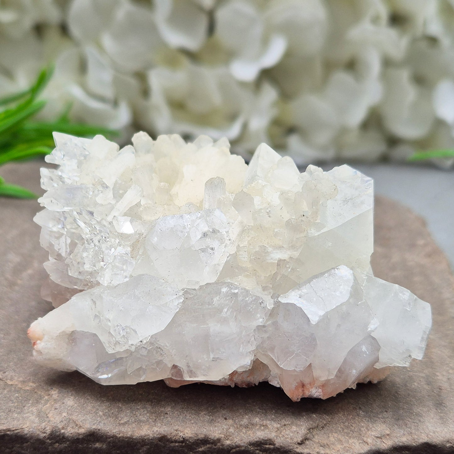 Apophyllite cluster for clarity, calm, and connection. A high-vibration crystal to uplift energy and deepen spiritual awareness in any space. 