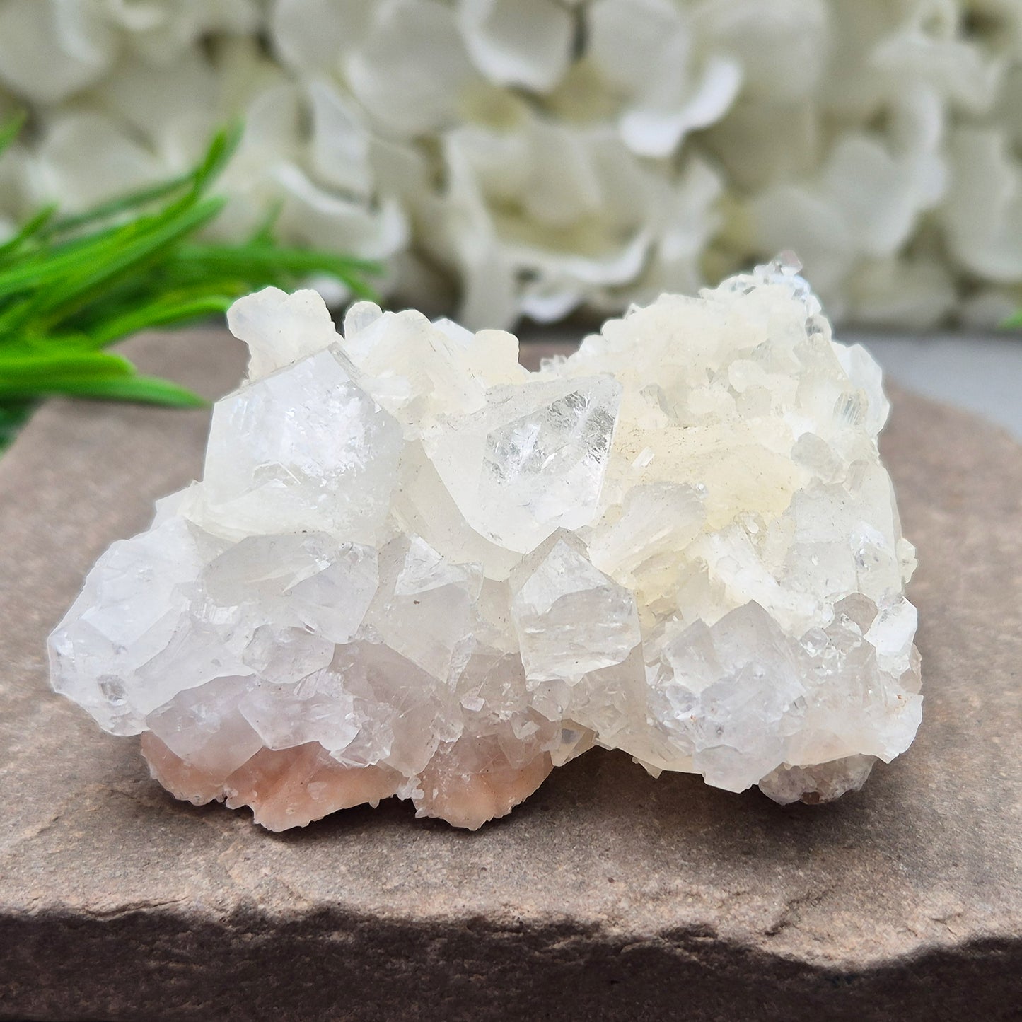 Apophyllite cluster for clarity, calm, and connection. A high-vibration crystal to uplift energy and deepen spiritual awareness in any space. 