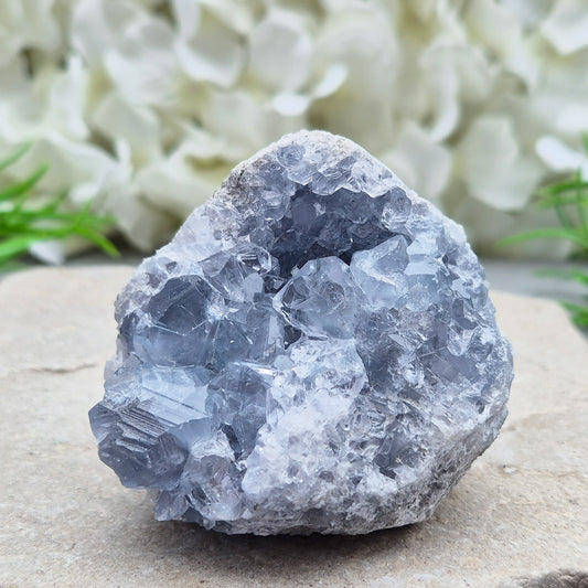 Natural Celestite Crystal Cluster featuring delicate blue crystals. Perfect for crystal collections, home décor, gifting, and spiritual spaces.