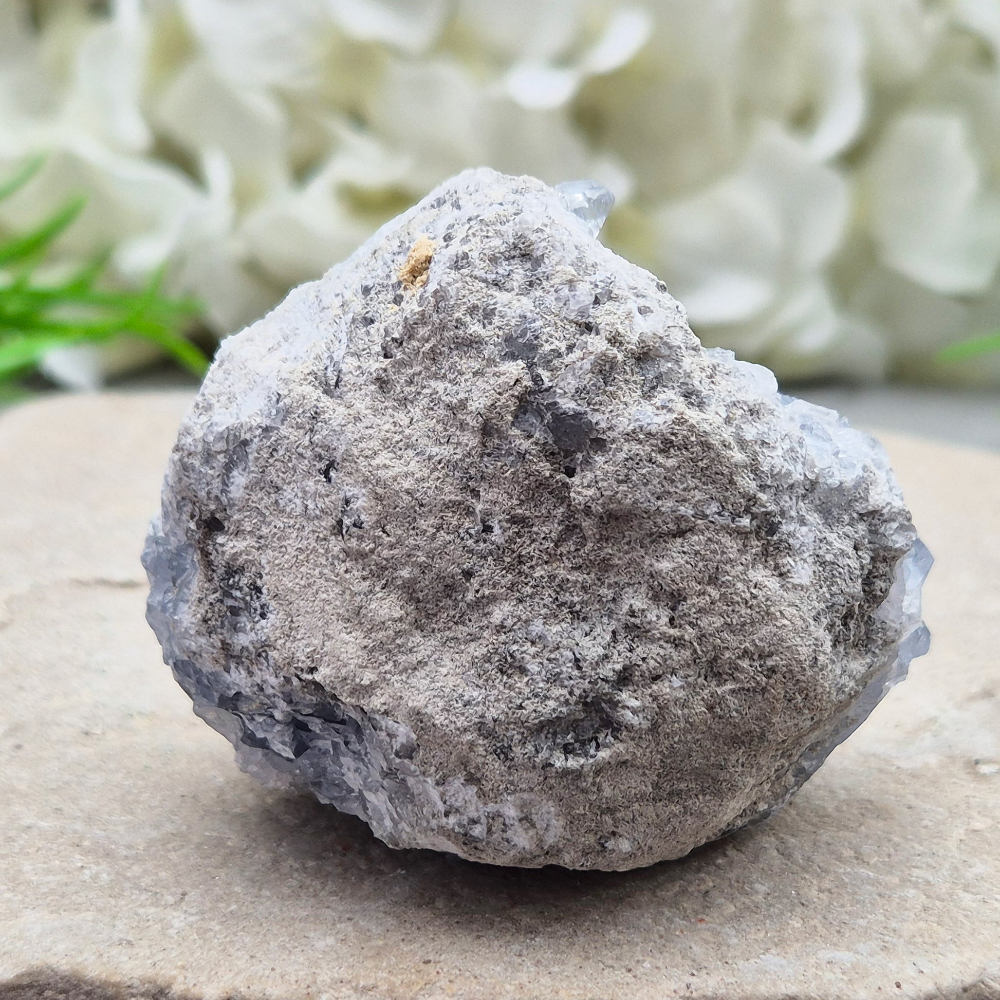Natural Celestite Crystal Cluster featuring delicate blue crystals. Perfect for crystal collections, home décor, gifting, and spiritual spaces.