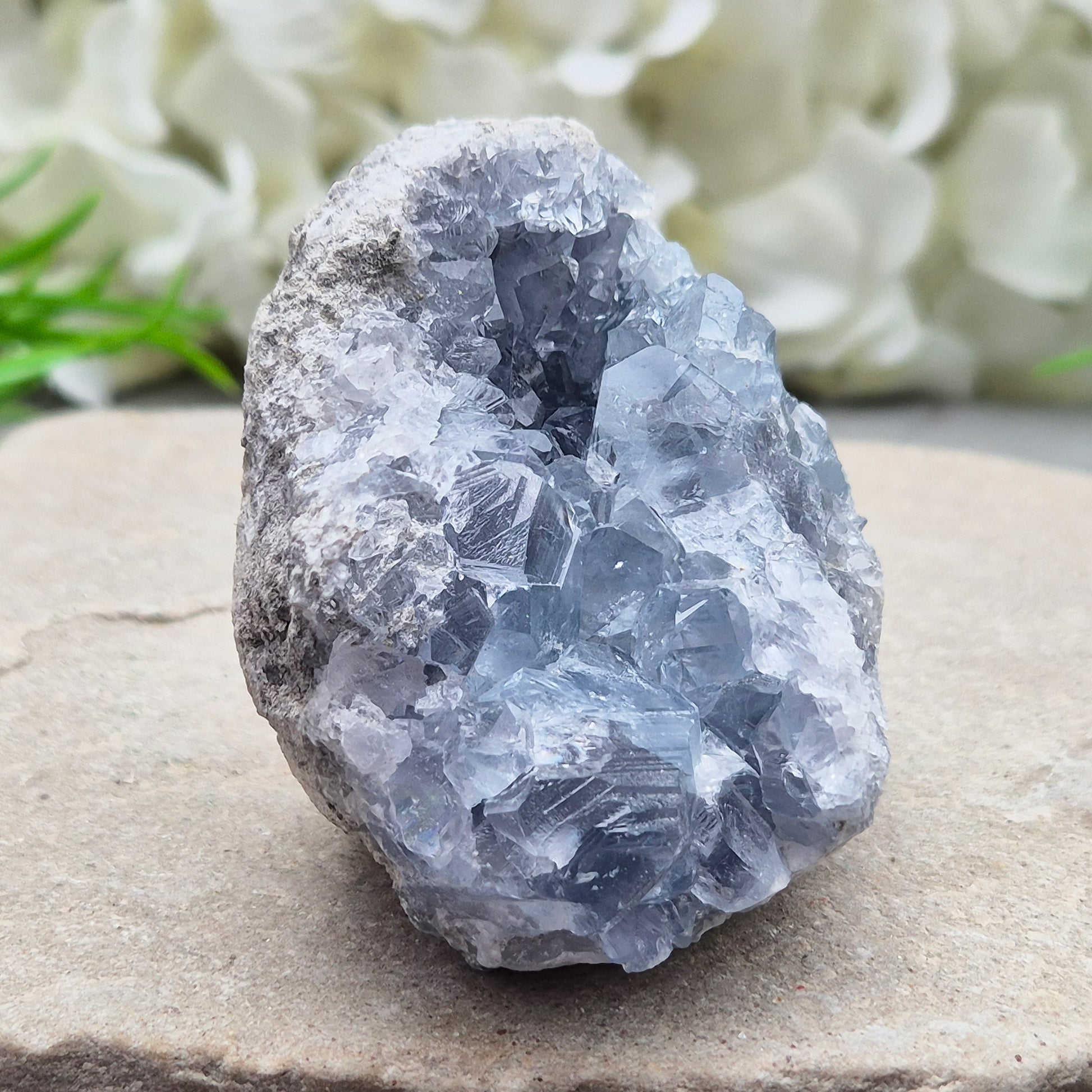 Natural Celestite Crystal Cluster featuring delicate blue crystals. Perfect for crystal collections, home décor, gifting, and spiritual spaces.