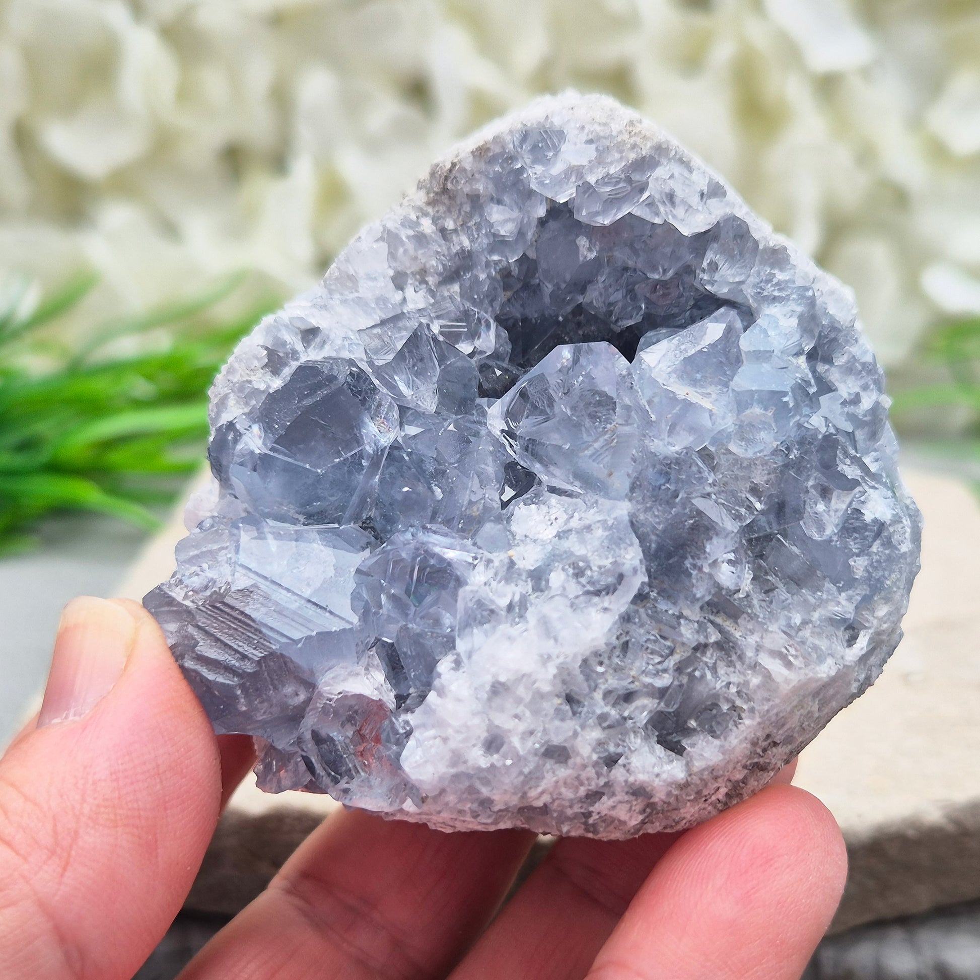 Natural Celestite Crystal Cluster featuring delicate blue crystals. Perfect for crystal collections, home décor, gifting, and spiritual spaces.