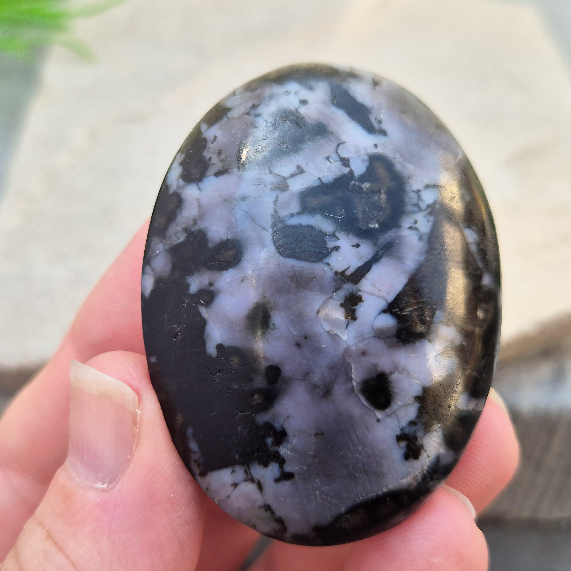 Mystic Merlinite (indigo gabbro) palm stone for energy work, intuition & emotional healing. Ideal for meditation, grounding & spiritual growth.