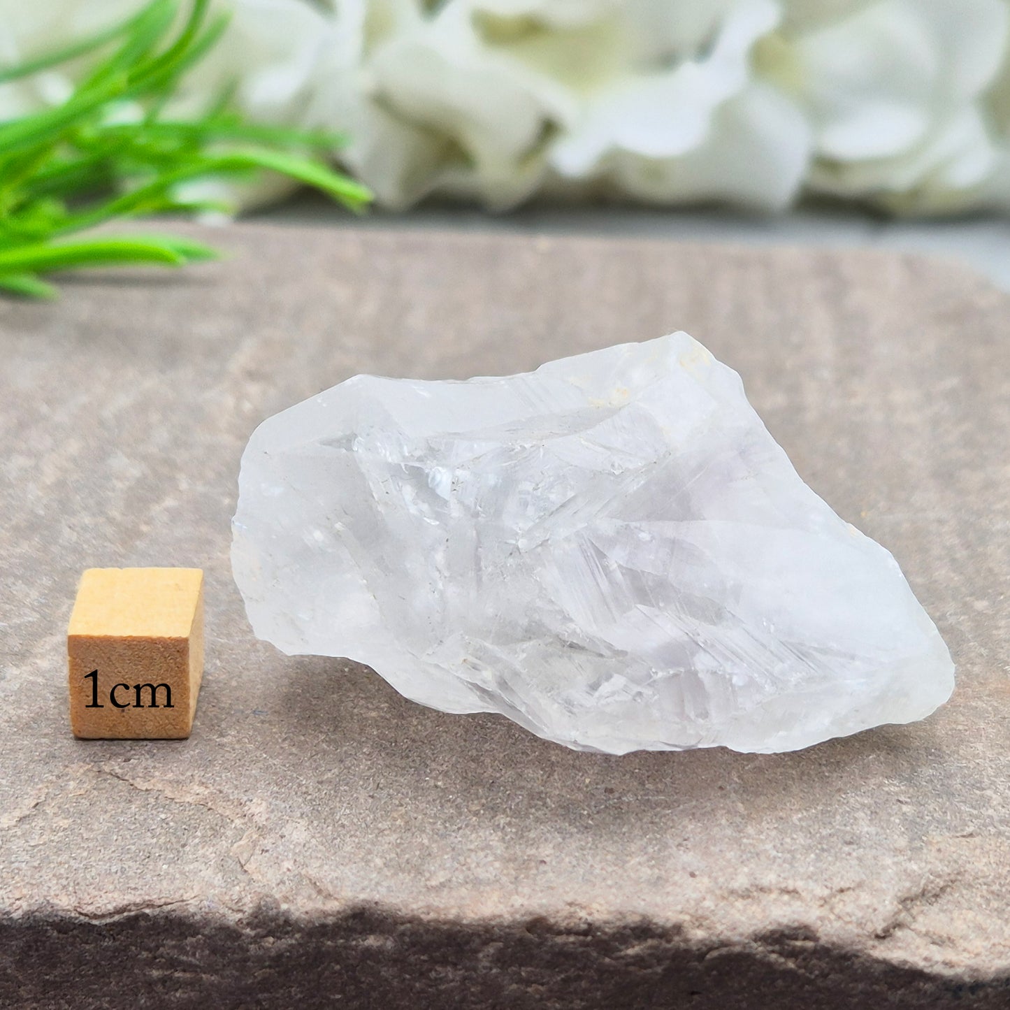 Natural Satyaloka Quartz Crystal from India. Satyaloka is said to have a tremendous energy vortex, hence why the area is considered to be so sacred and the quartz that is found there to be so energetically powerful. 