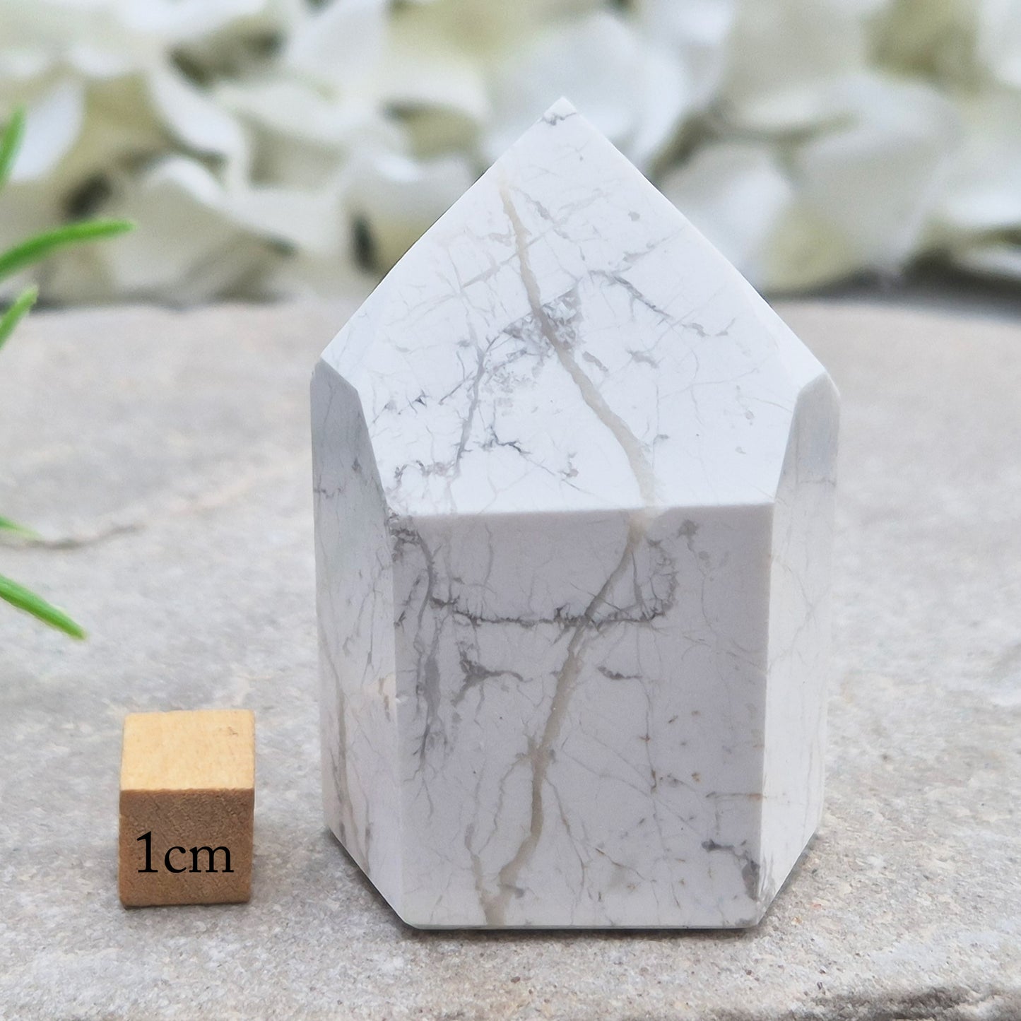 Howlite crystal point for calm, focus, and emotional balance. Perfect for meditation, healing spaces, or crystal collections.