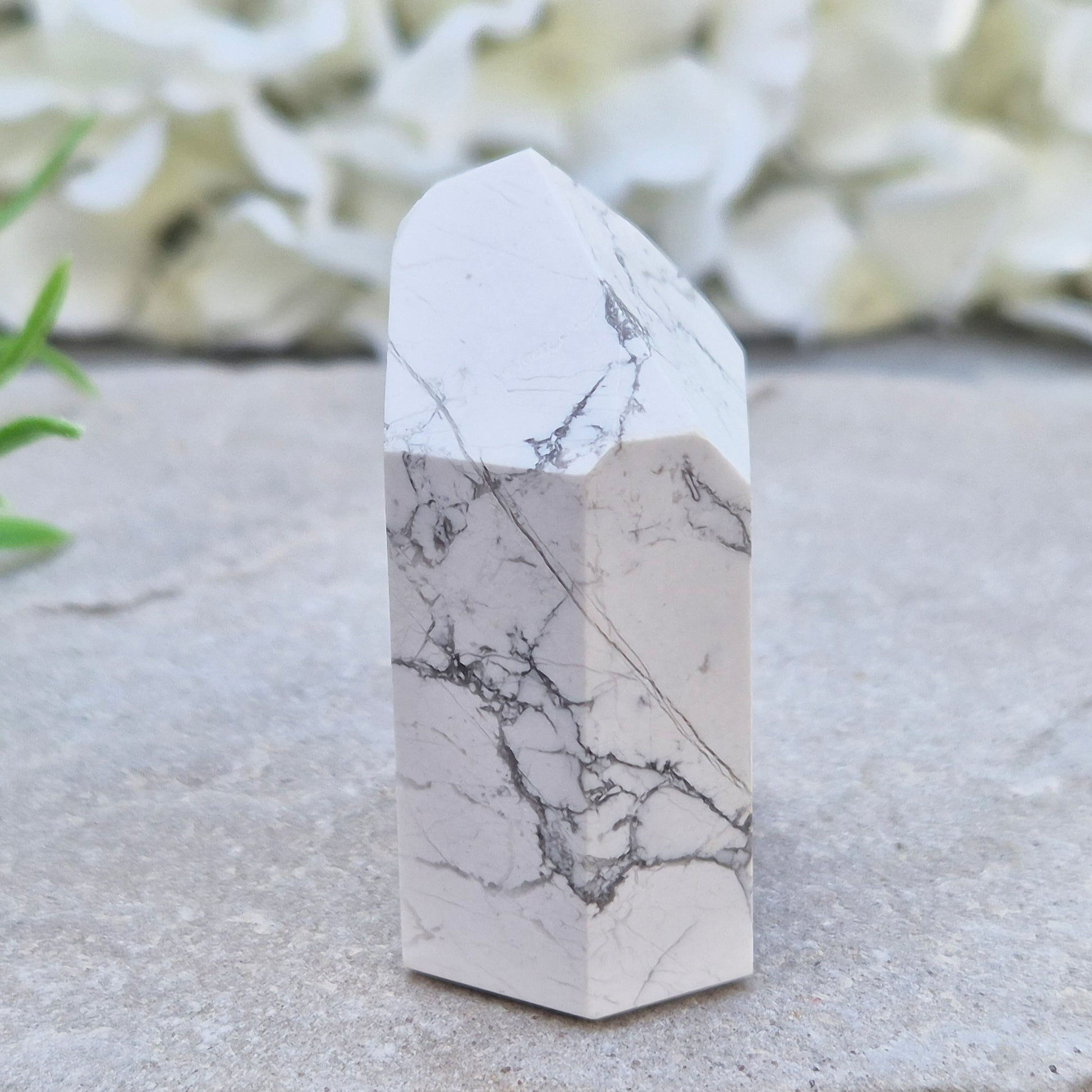 Howlite crystal point for calm, focus, and emotional balance. Perfect for meditation, healing spaces, or crystal collections.