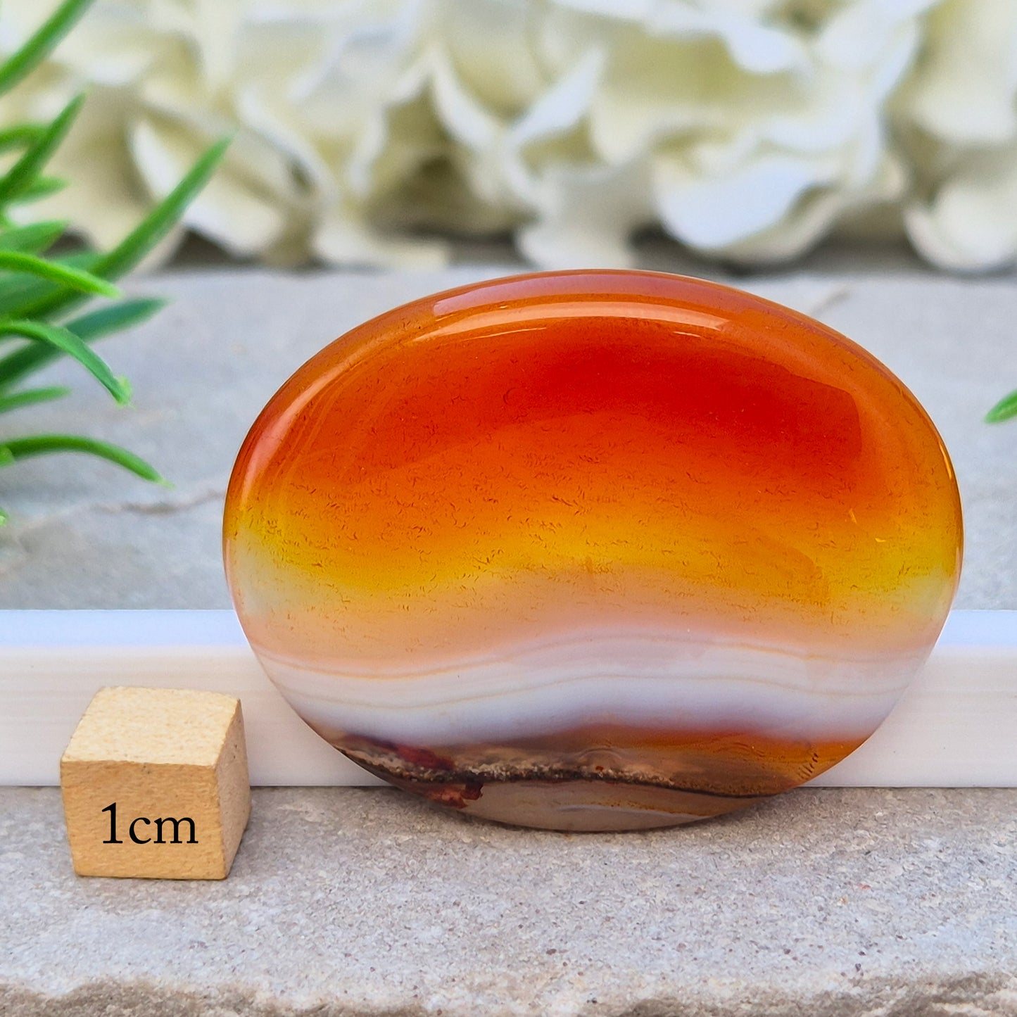 Banded Carnelian palm stone from Madagascar. Boosts motivation, confidence and creativity. Grounding Root and Sacral crystal for energy and focus