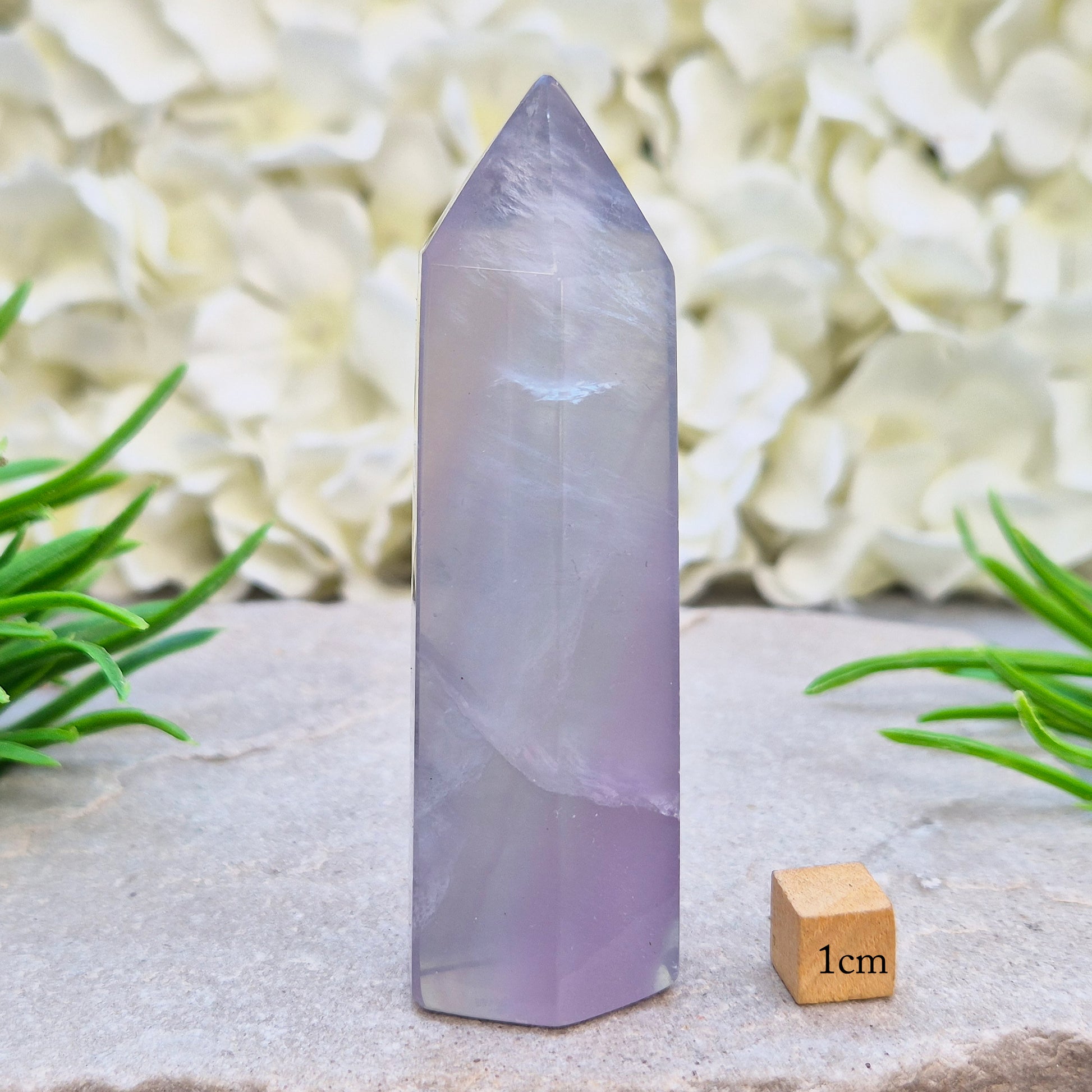 This Fluorite crystal point has a 6 faced generator tip, its pale lilac-grey body threaded through with soft smoky, feather-like inclusions and a faint blush of deeper pink pooling at the base