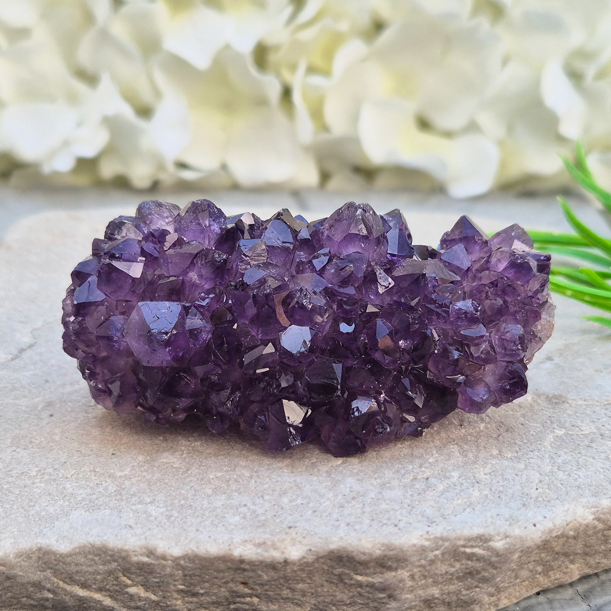 This amethyst stalactite cluster shows deep purple crystal points rising from base matrix, with a striking banded core running through the centre — rings of grey, white, and warm reddish-brown chalcedony marking each stage of its slow growth. 