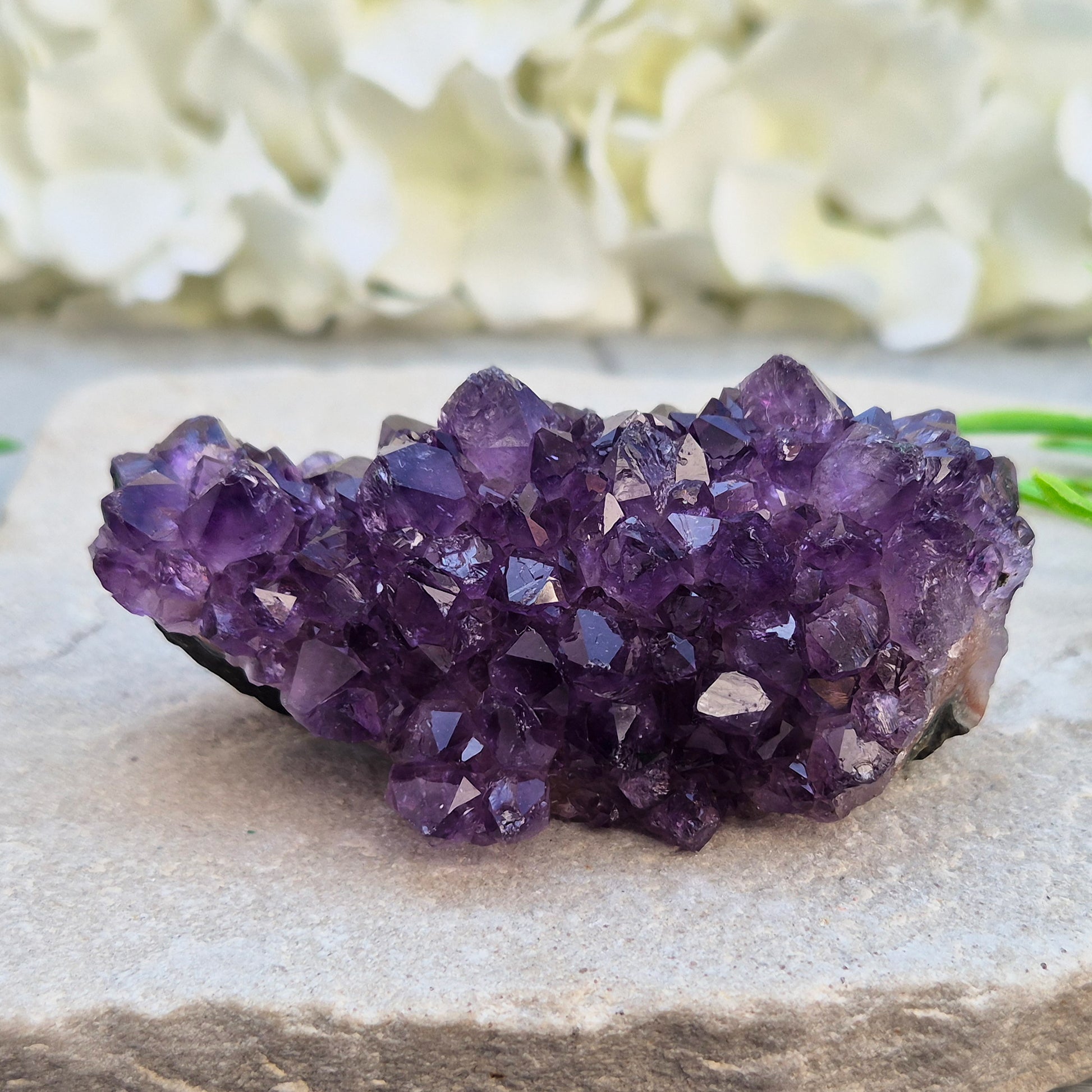 This amethyst stalactite cluster shows deep purple crystal points rising from base matrix, with a striking banded core running through the centre — rings of grey, white, and warm reddish-brown chalcedony marking each stage of its slow growth. 