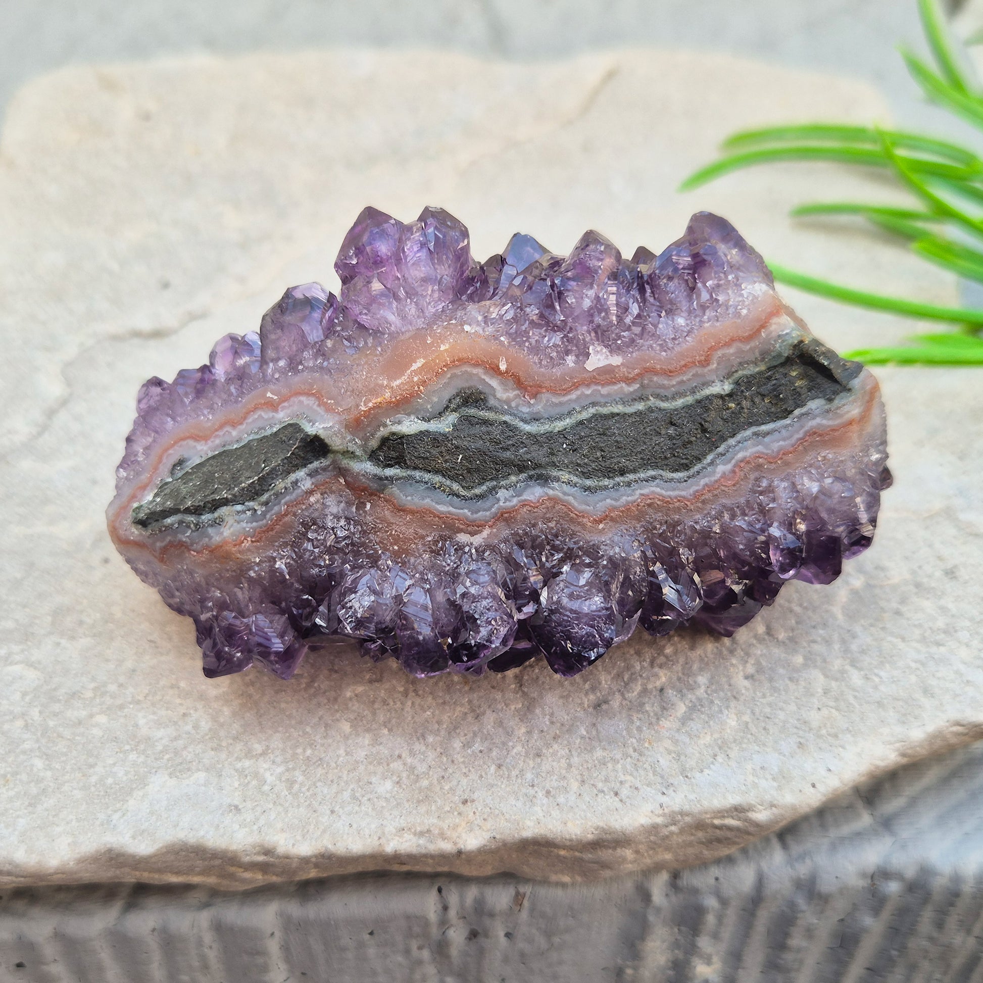 This amethyst stalactite cluster shows deep purple crystal points rising from base matrix, with a striking banded core running through the centre — rings of grey, white, and warm reddish-brown chalcedony marking each stage of its slow growth. 