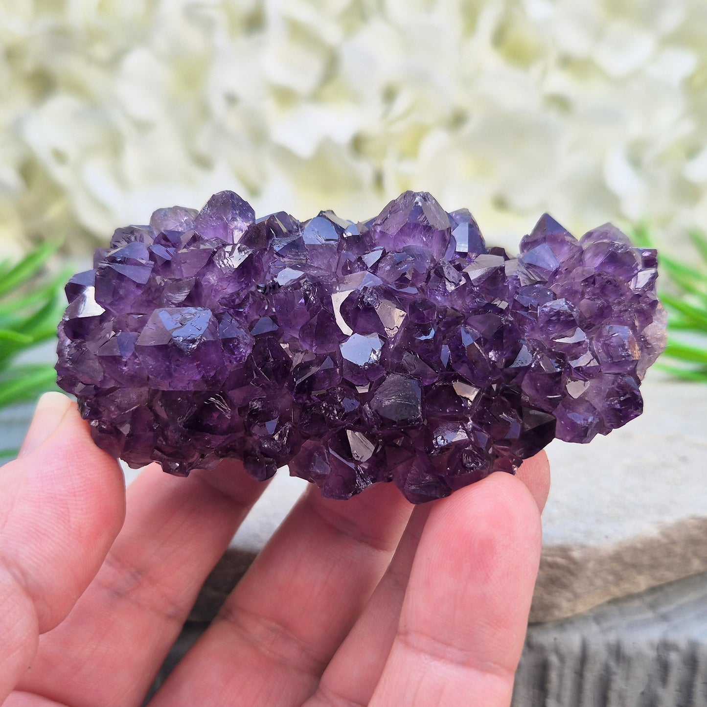 This amethyst stalactite cluster shows deep purple crystal points rising from base matrix, with a striking banded core running through the centre — rings of grey, white, and warm reddish-brown chalcedony marking each stage of its slow growth. 