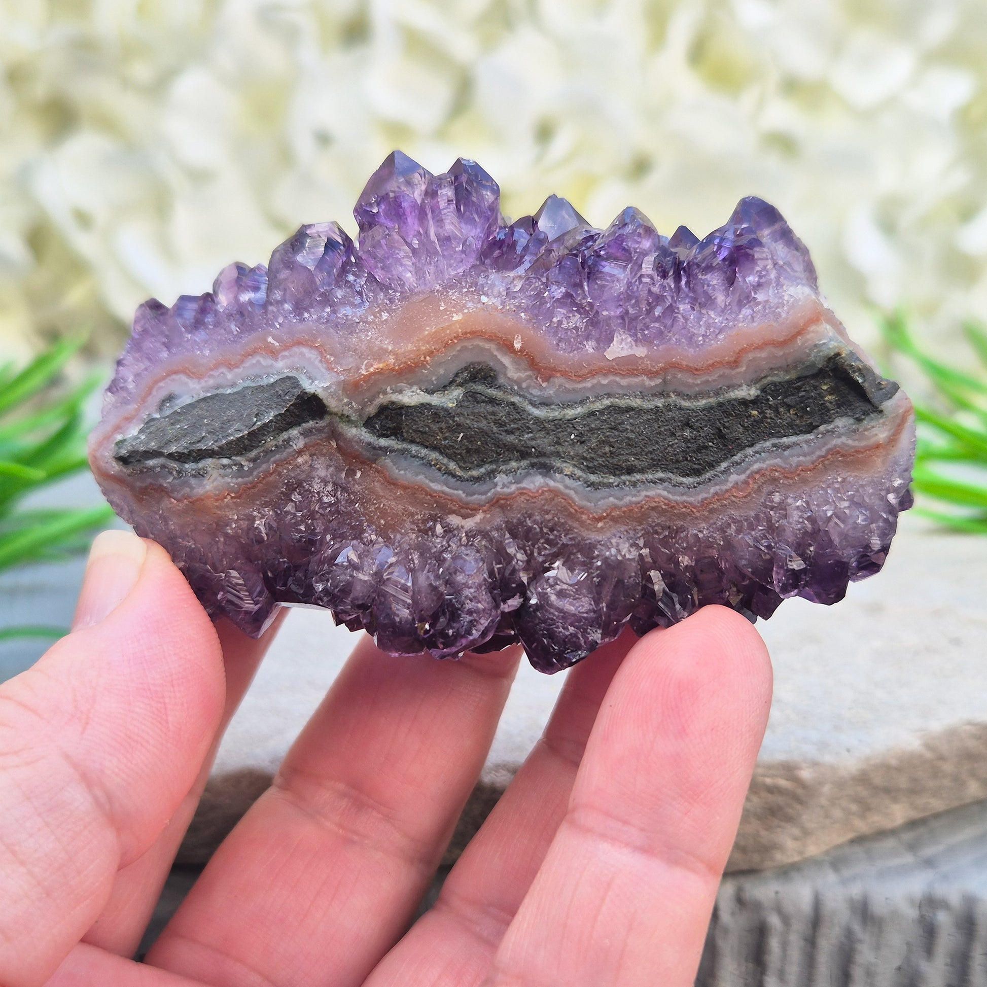 This amethyst stalactite cluster shows deep purple crystal points rising from base matrix, with a striking banded core running through the centre — rings of grey, white, and warm reddish-brown chalcedony marking each stage of its slow growth. 
