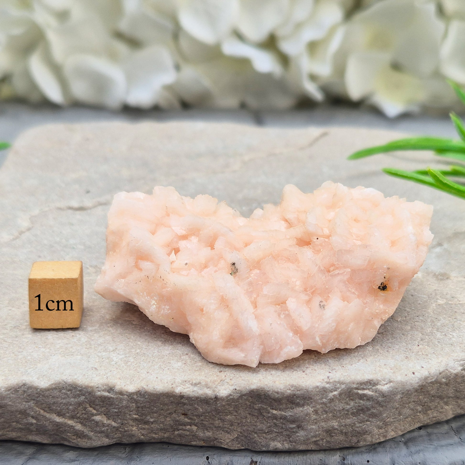 Natural Pink Dolomite Crystal Cluster from Morocco. A comforting heart chakra stone for emotional healing, restoring harmony, and easing mental overwhelm.