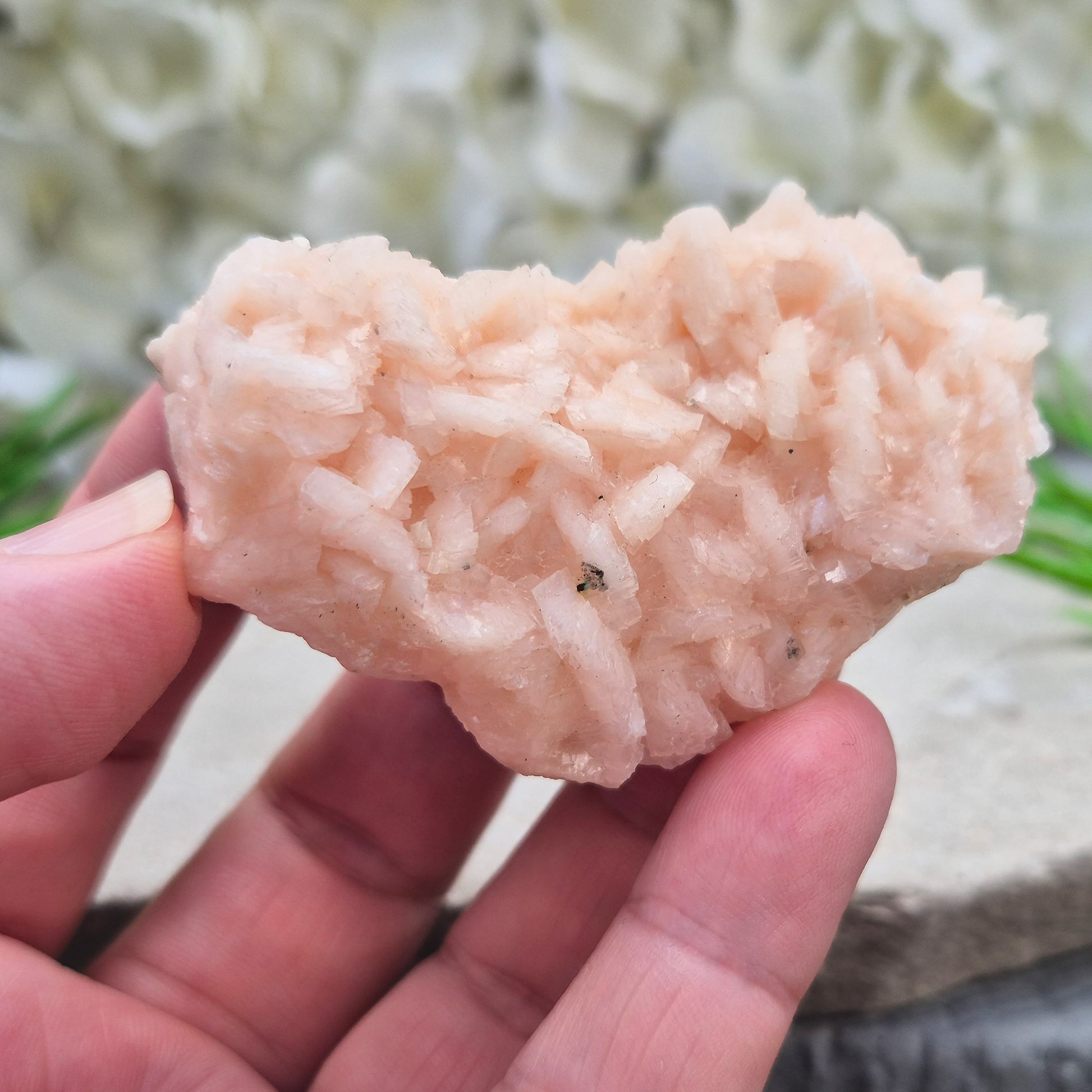 Natural Pink Dolomite Crystal Cluster from Morocco. A comforting heart chakra stone for emotional healing, restoring harmony, and easing mental overwhelm.