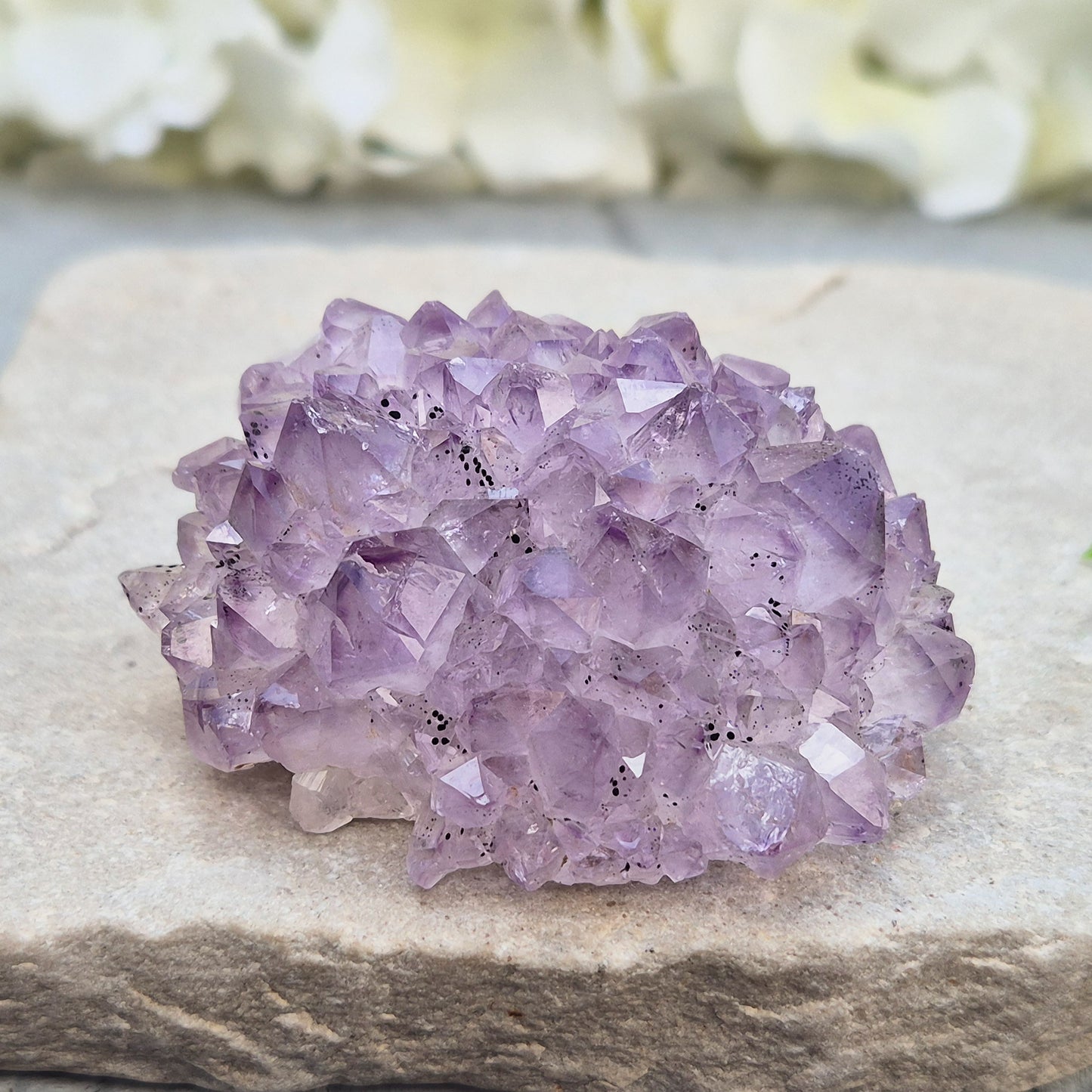 This amethyst stalactite cluster is formed from dozens of small pale amethyst crystal points densely packed into a rounded dome. Turned over, the base reveals a cross-section of the stalactite's growth, with the points radiating outward around a central core in a rosette-like pattern.