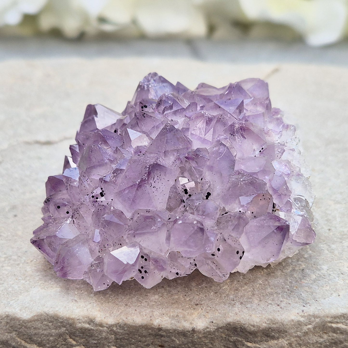 This amethyst stalactite cluster is formed from dozens of small pale amethyst crystal points densely packed into a rounded dome. Turned over, the base reveals a cross-section of the stalactite's growth, with the points radiating outward around a central core in a rosette-like pattern.