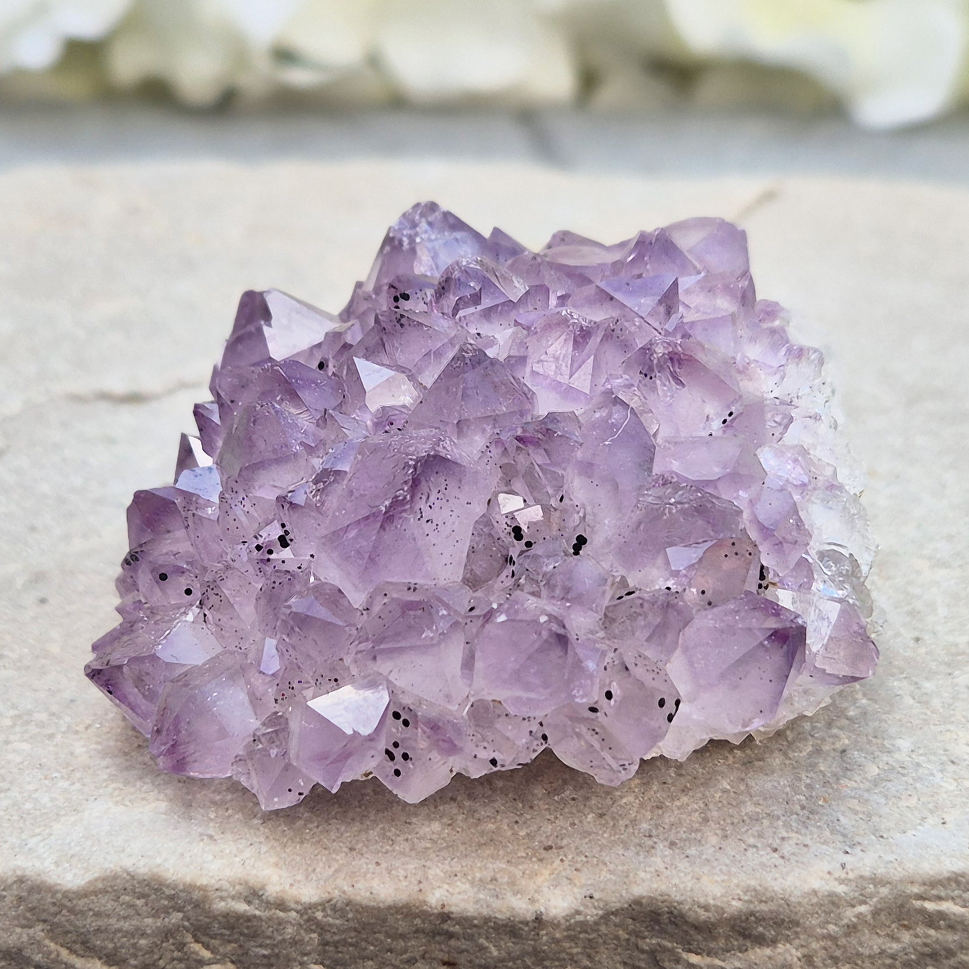 This amethyst stalactite cluster is formed from dozens of small pale amethyst crystal points densely packed into a rounded dome. Turned over, the base reveals a cross-section of the stalactite's growth, with the points radiating outward around a central core in a rosette-like pattern.