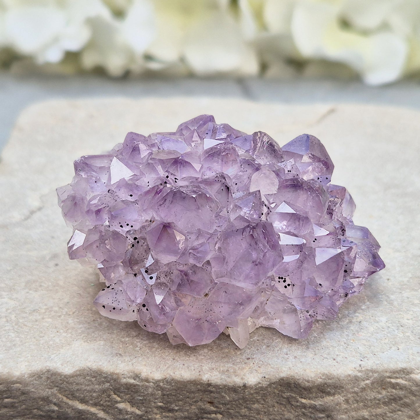 This amethyst stalactite cluster is formed from dozens of small pale amethyst crystal points densely packed into a rounded dome. Turned over, the base reveals a cross-section of the stalactite's growth, with the points radiating outward around a central core in a rosette-like pattern.