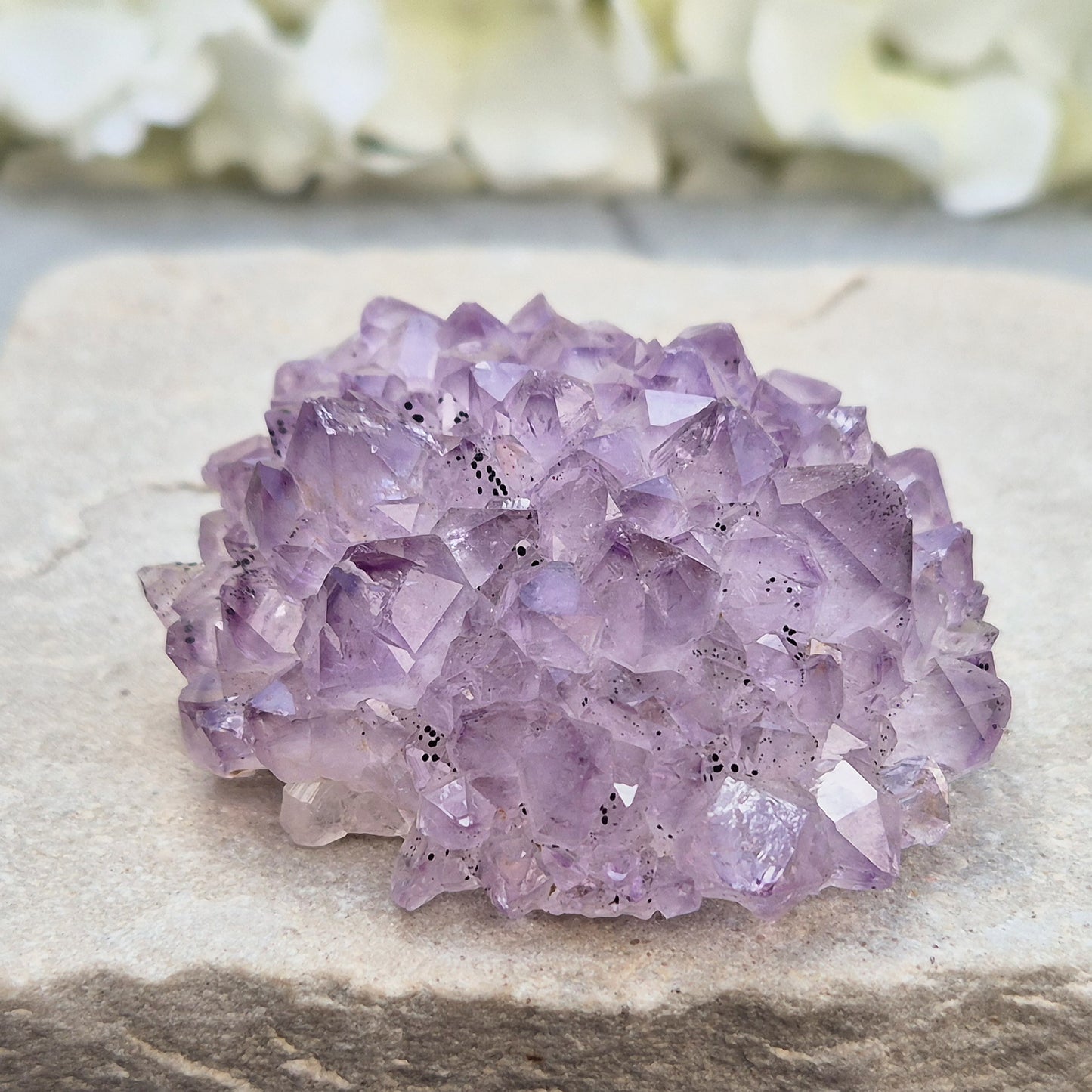 This amethyst stalactite cluster is formed from dozens of small pale amethyst crystal points densely packed into a rounded dome. Turned over, the base reveals a cross-section of the stalactite's growth, with the points radiating outward around a central core in a rosette-like pattern.