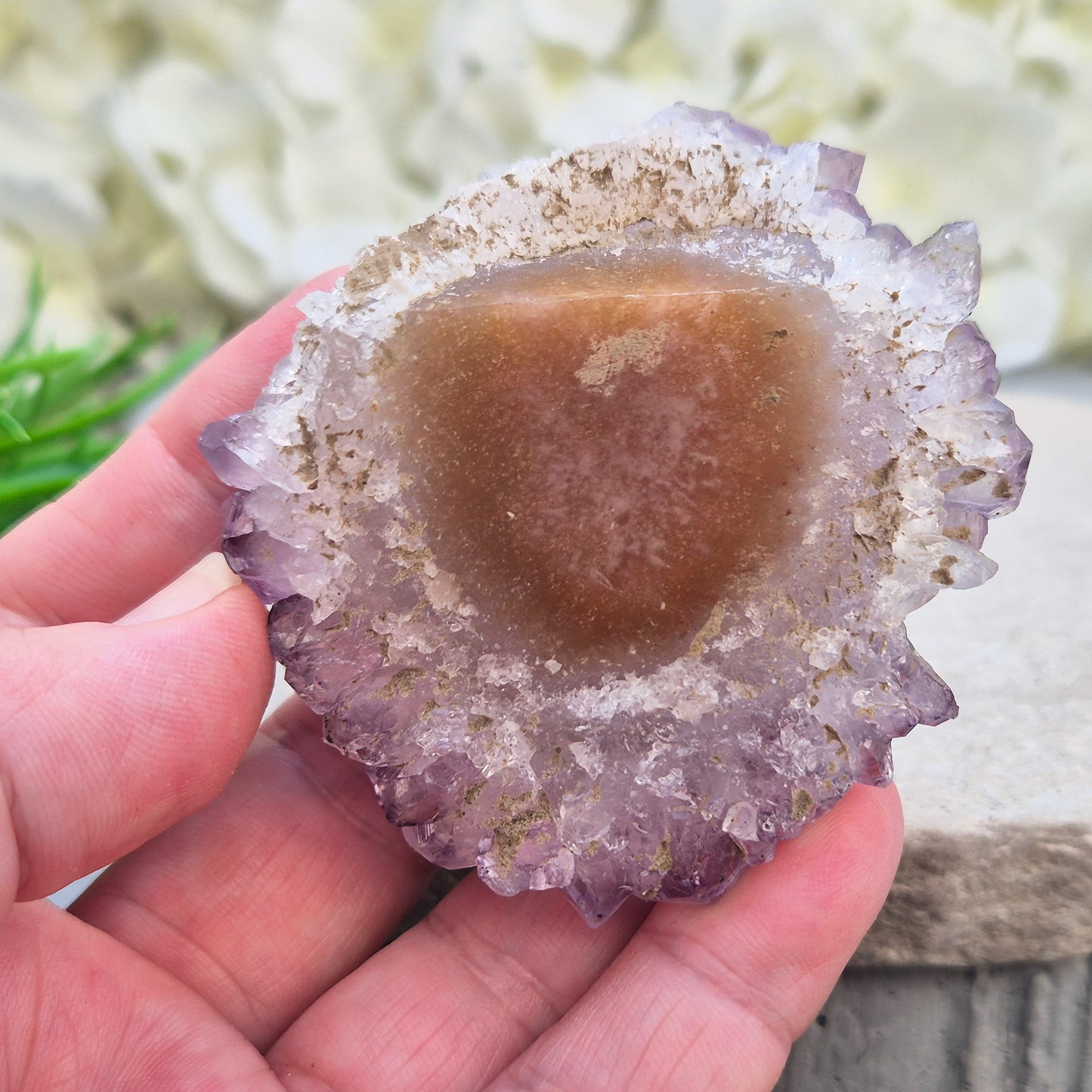This amethyst stalactite cluster is formed from dozens of small pale amethyst crystal points densely packed into a rounded dome. Turned over, the base reveals a cross-section of the stalactite's growth, with the points radiating outward around a central core in a rosette-like pattern.