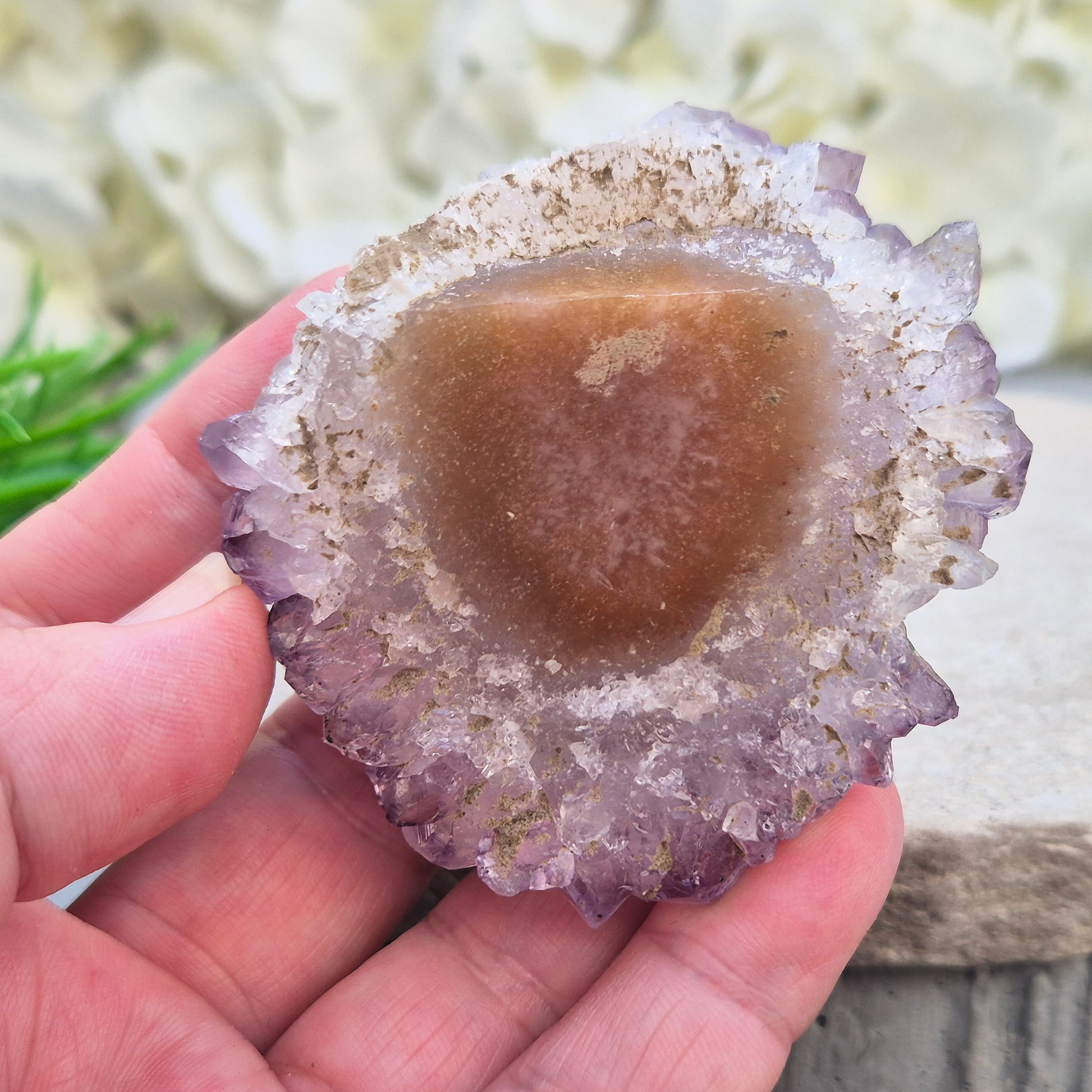 This amethyst stalactite cluster is formed from dozens of small pale amethyst crystal points densely packed into a rounded dome. Turned over, the base reveals a cross-section of the stalactite's growth, with the points radiating outward around a central core in a rosette-like pattern.
