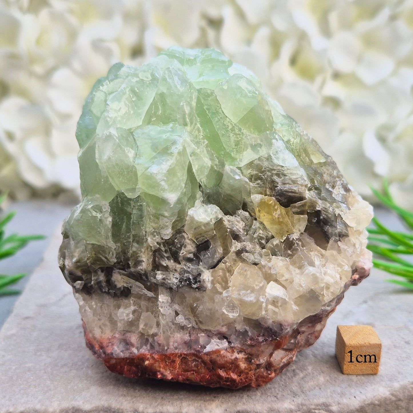 free standing natural Green Calcite crystal that encourages release, emotional balance and gentle renewal. Ideal for heart-centred energy work and fresh starts.