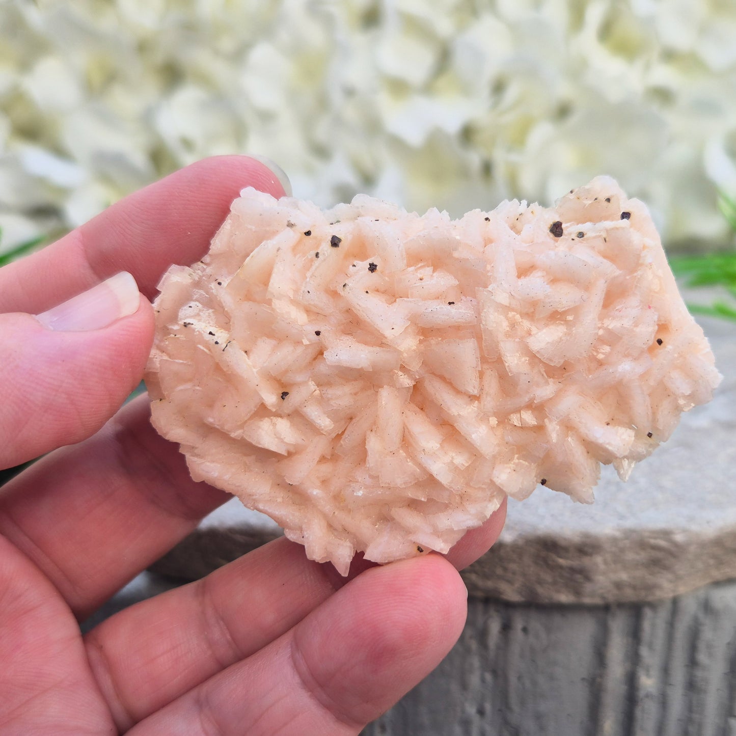 Natural Pink Dolomite Crystal Cluster from Morocco. A comforting heart chakra stone for emotional healing, restoring harmony, and easing mental overwhelm.