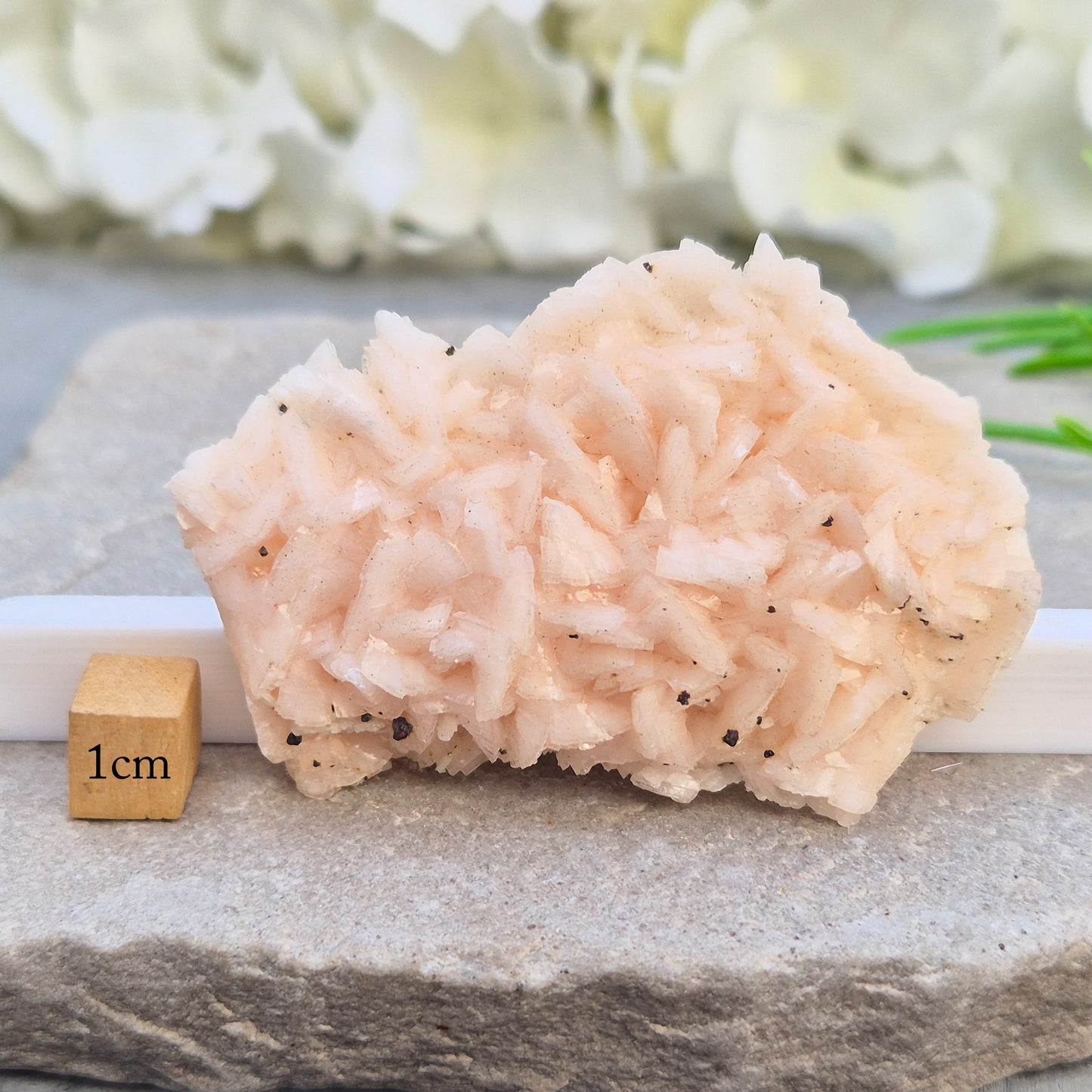 Natural Pink Dolomite Crystal Cluster from Morocco. A comforting heart chakra stone for emotional healing, restoring harmony, and easing mental overwhelm.