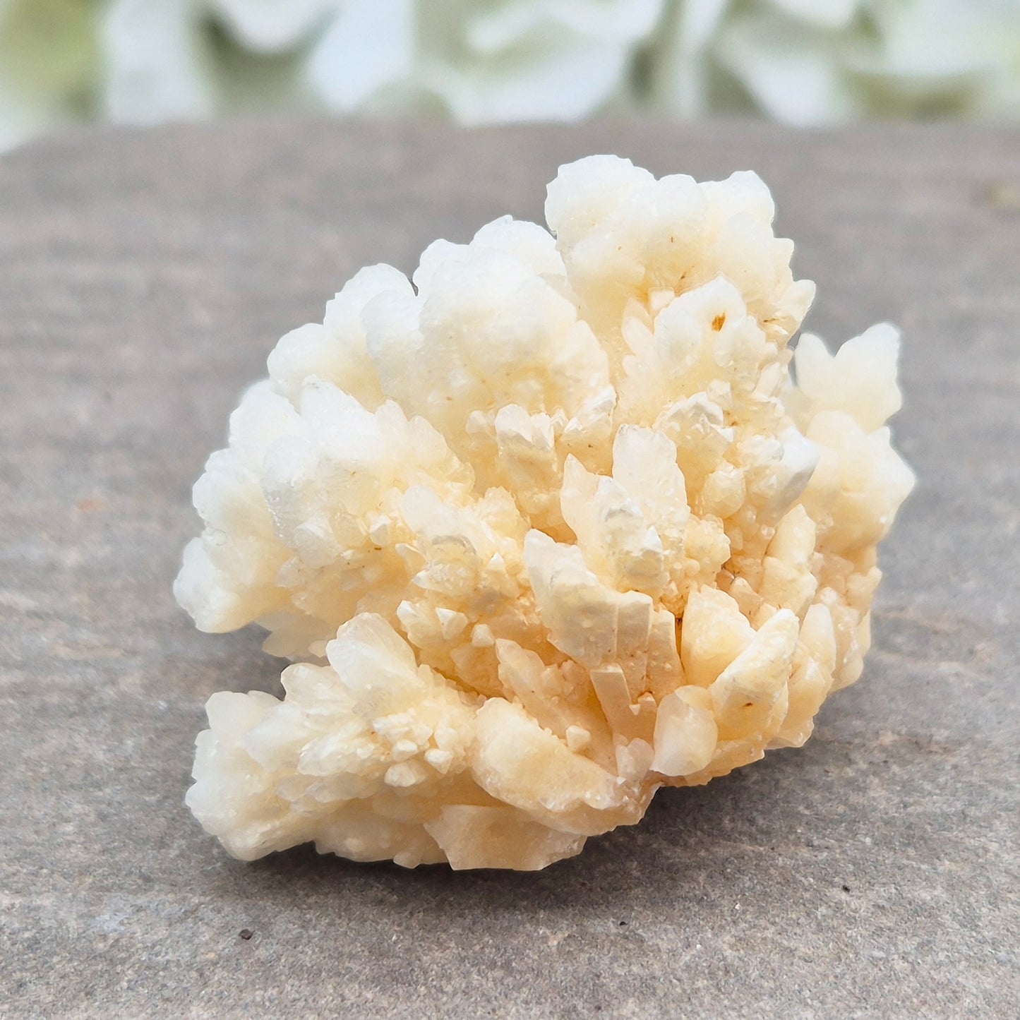 Cave Calcite (Aragonite) – A unique crystal valued for its stabilizing energy, focus, and natural beauty. A must-have for any crystal collection.
