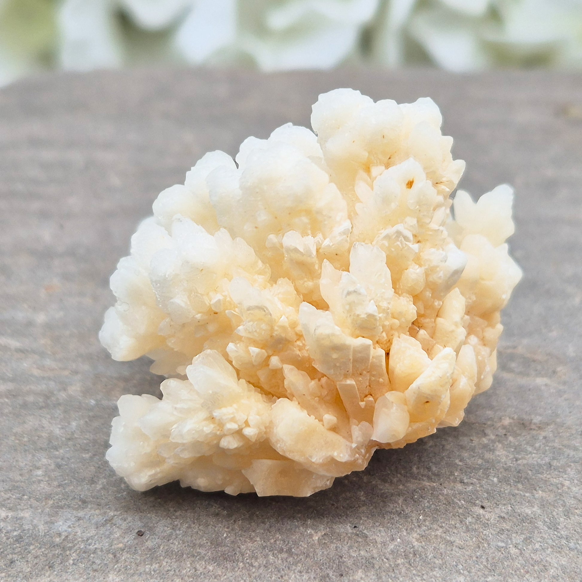 Cave Calcite (Aragonite) – A unique crystal valued for its stabilizing energy, focus, and natural beauty. A must-have for any crystal collection.
