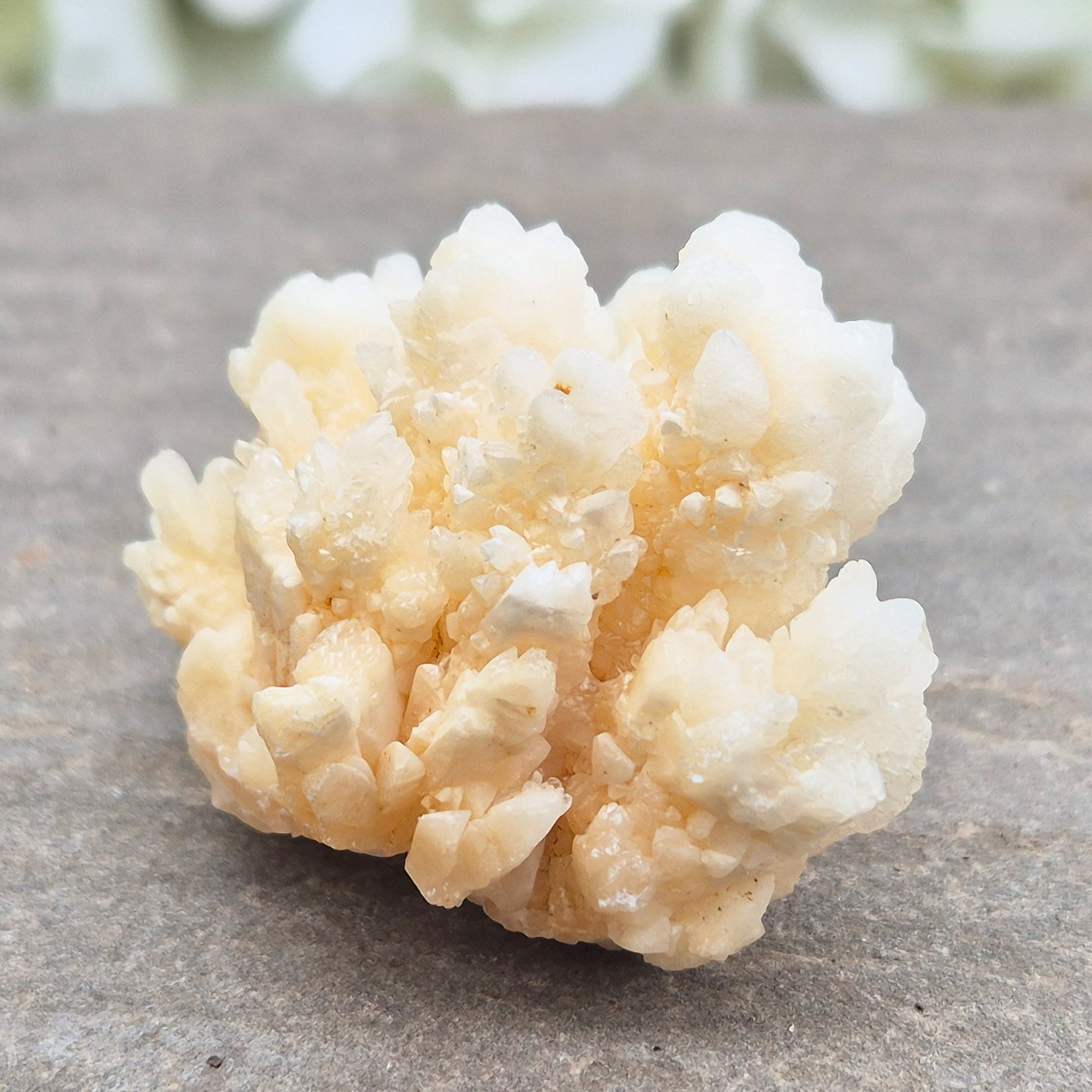 Cave Calcite (Aragonite) – A unique crystal valued for its stabilizing energy, focus, and natural beauty. A must-have for any crystal collection.
