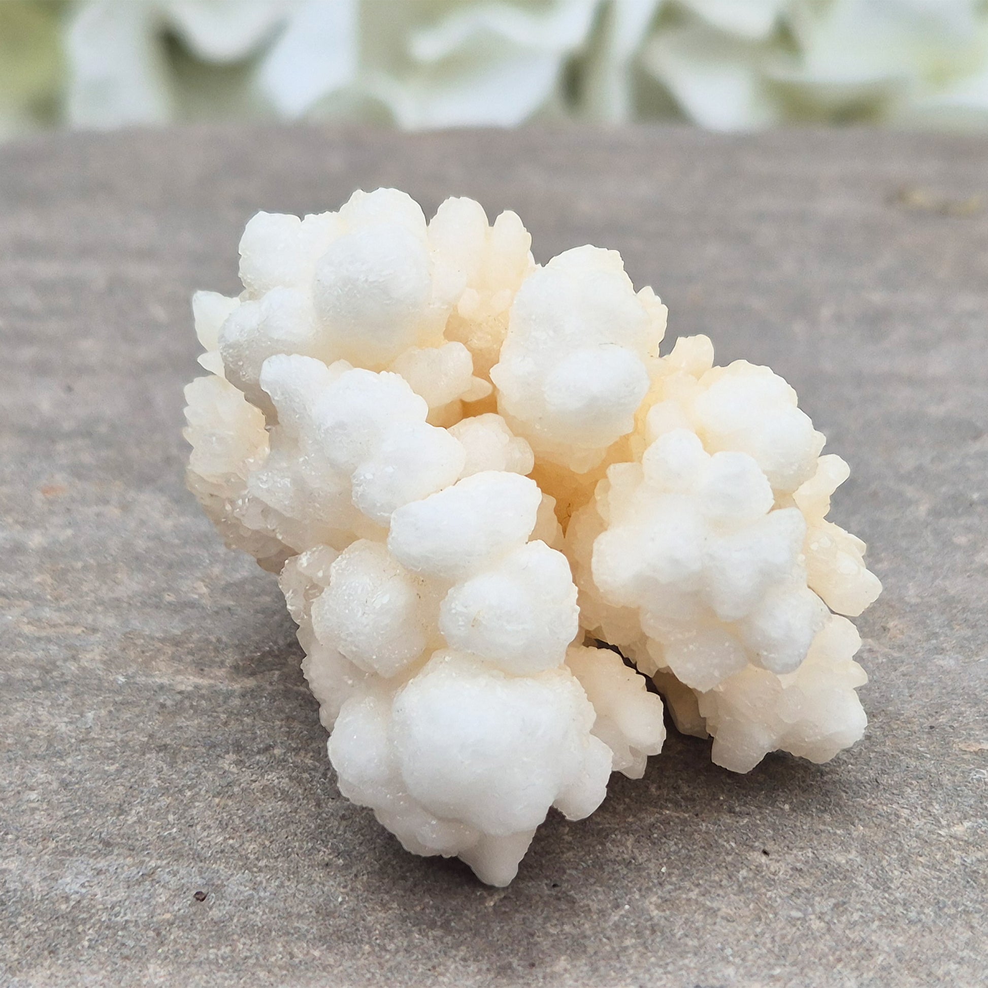 Cave Calcite (Aragonite) – A unique crystal valued for its stabilizing energy, focus, and natural beauty. A must-have for any crystal collection.