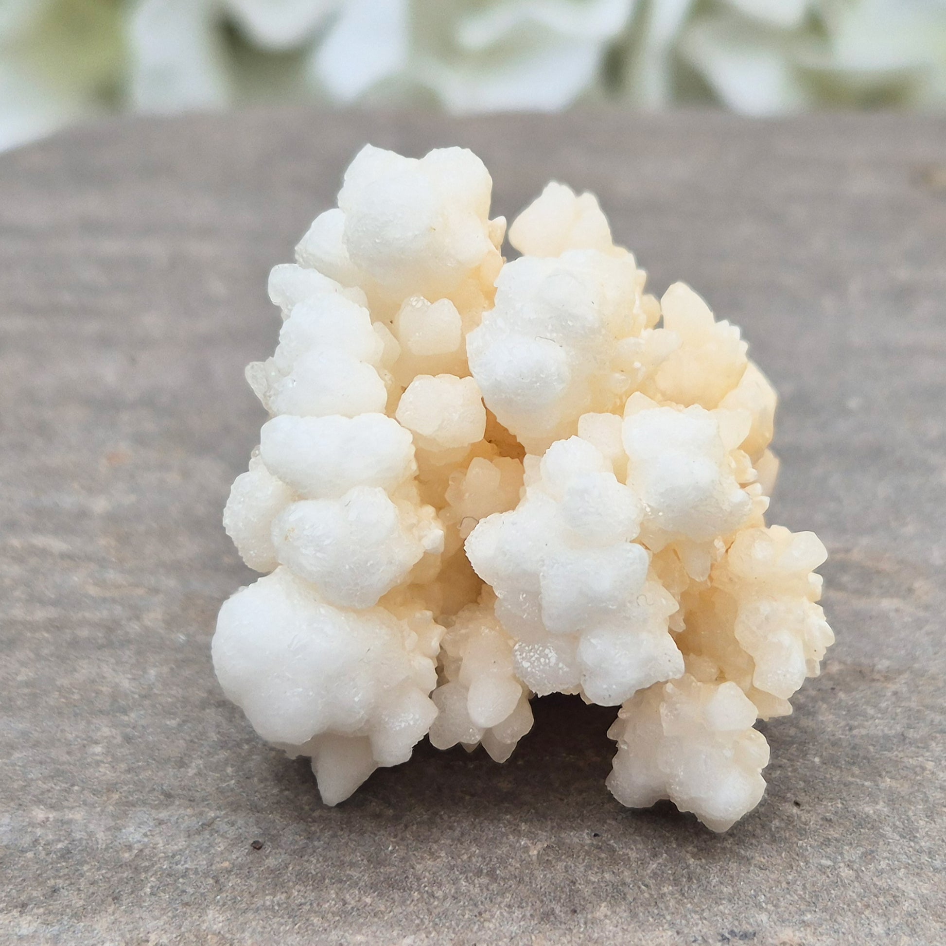 Cave Calcite (Aragonite) – A unique crystal valued for its stabilizing energy, focus, and natural beauty. A must-have for any crystal collection.