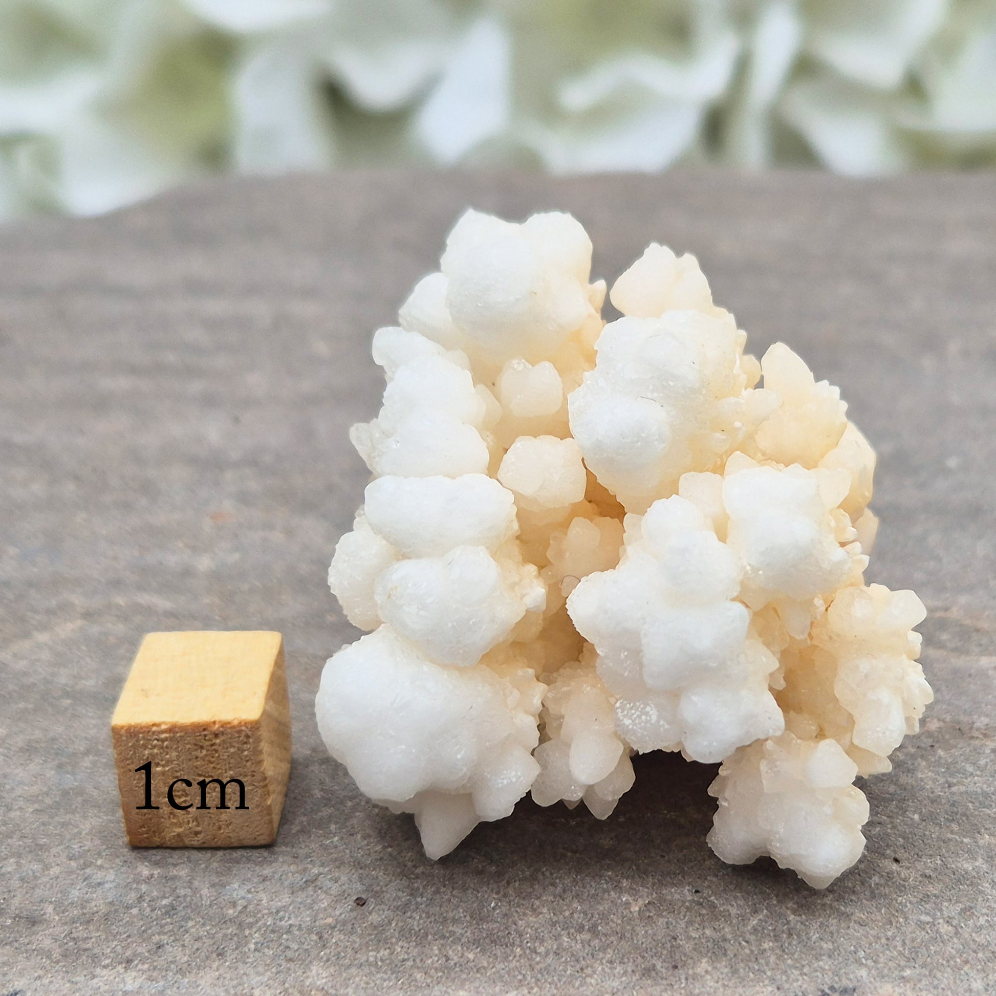 Cave Calcite (Aragonite) – A unique crystal valued for its stabilizing energy, focus, and natural beauty. A must-have for any crystal collection.