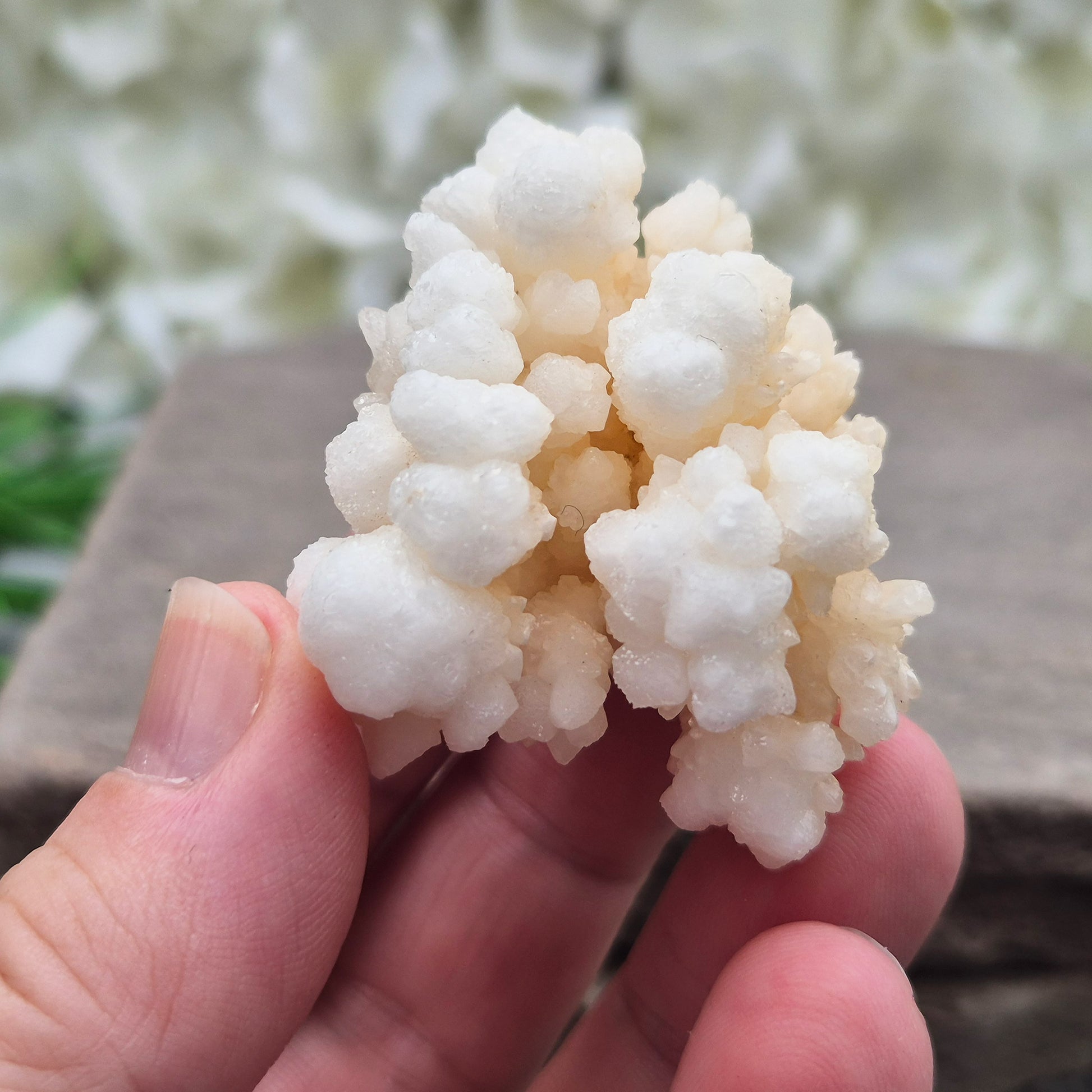 Cave Calcite (Aragonite) – A unique crystal valued for its stabilizing energy, focus, and natural beauty. A must-have for any crystal collection.