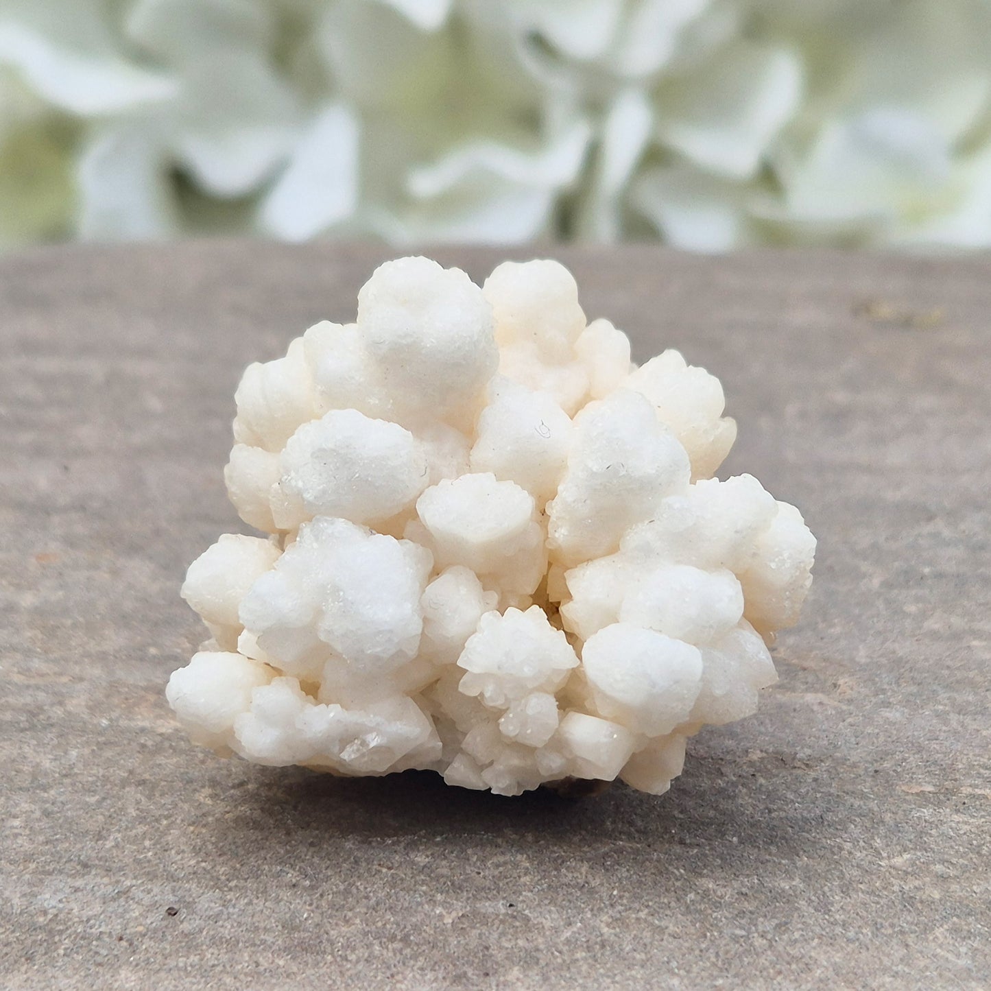 This unusual Cave Calcite formation — often called Cave Popcorn or Coralloid Aragonite — is actually a natural form of Aragonite, not true calcite. It forms in ancient cave environments where mineral-rich water slowly builds soft, rounded clusters over thousands of years. This piece has a shiny surface.