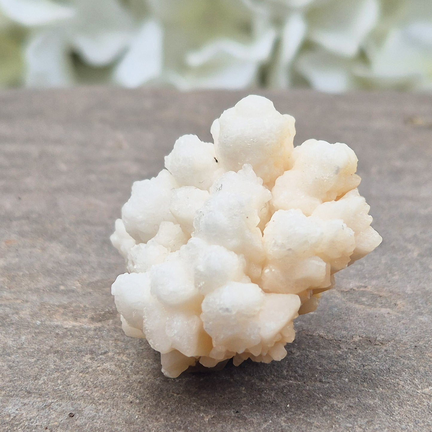 This unusual Cave Calcite formation — often called Cave Popcorn or Coralloid Aragonite — is actually a natural form of Aragonite, not true calcite. It forms in ancient cave environments where mineral-rich water slowly builds soft, rounded clusters over thousands of years. This piece has a shiny surface.